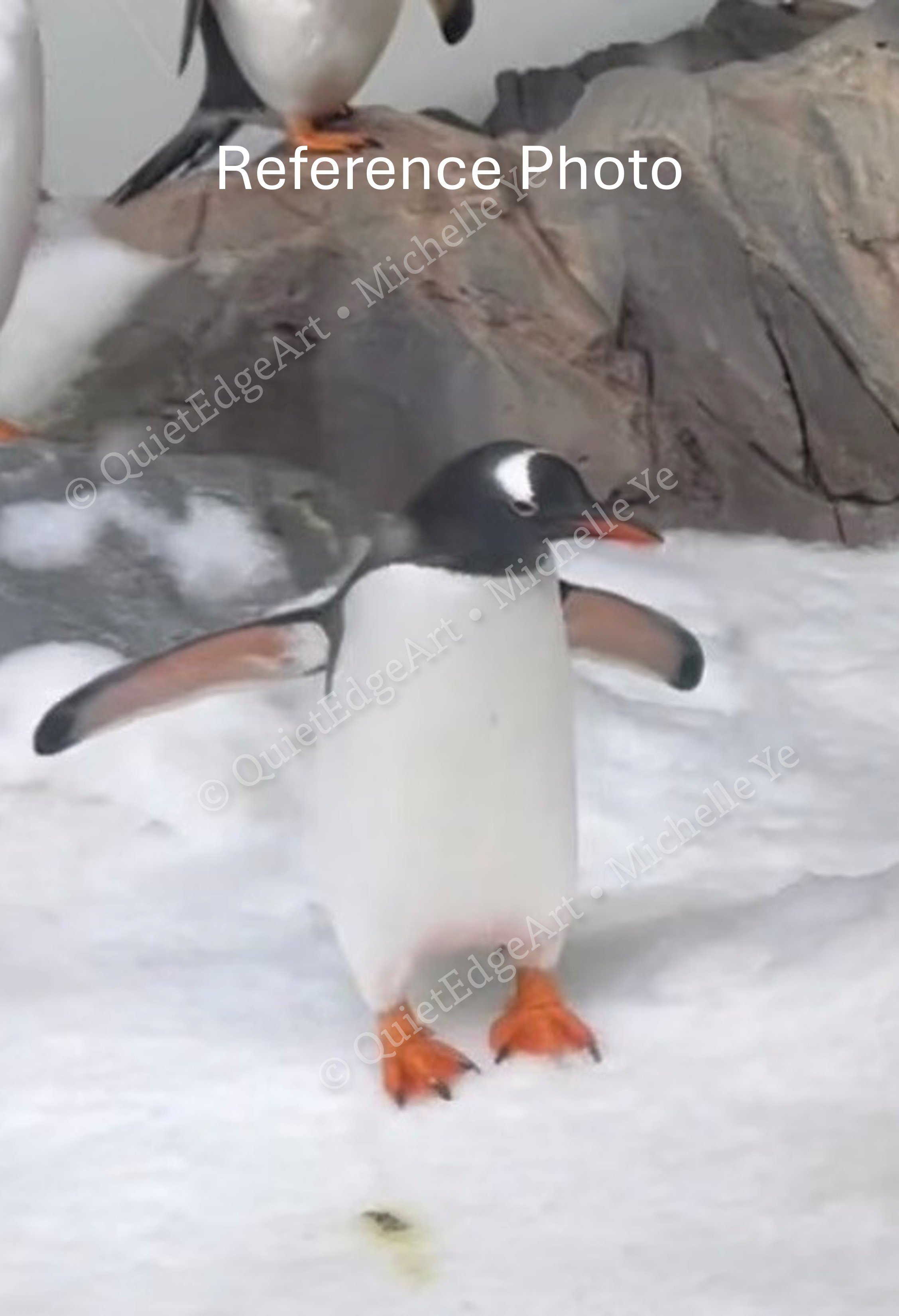 Penguin-RefPic.jpg