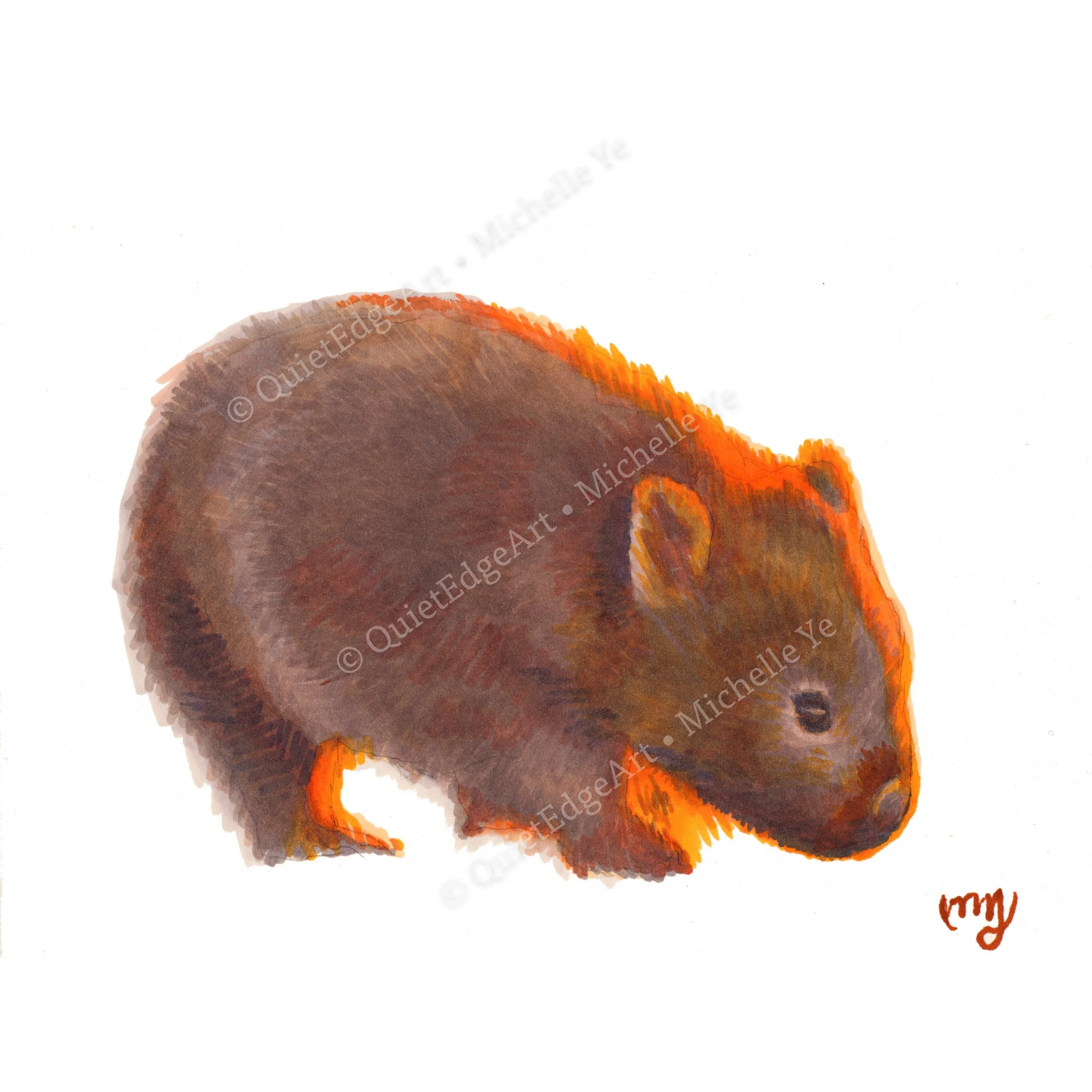 Wombat