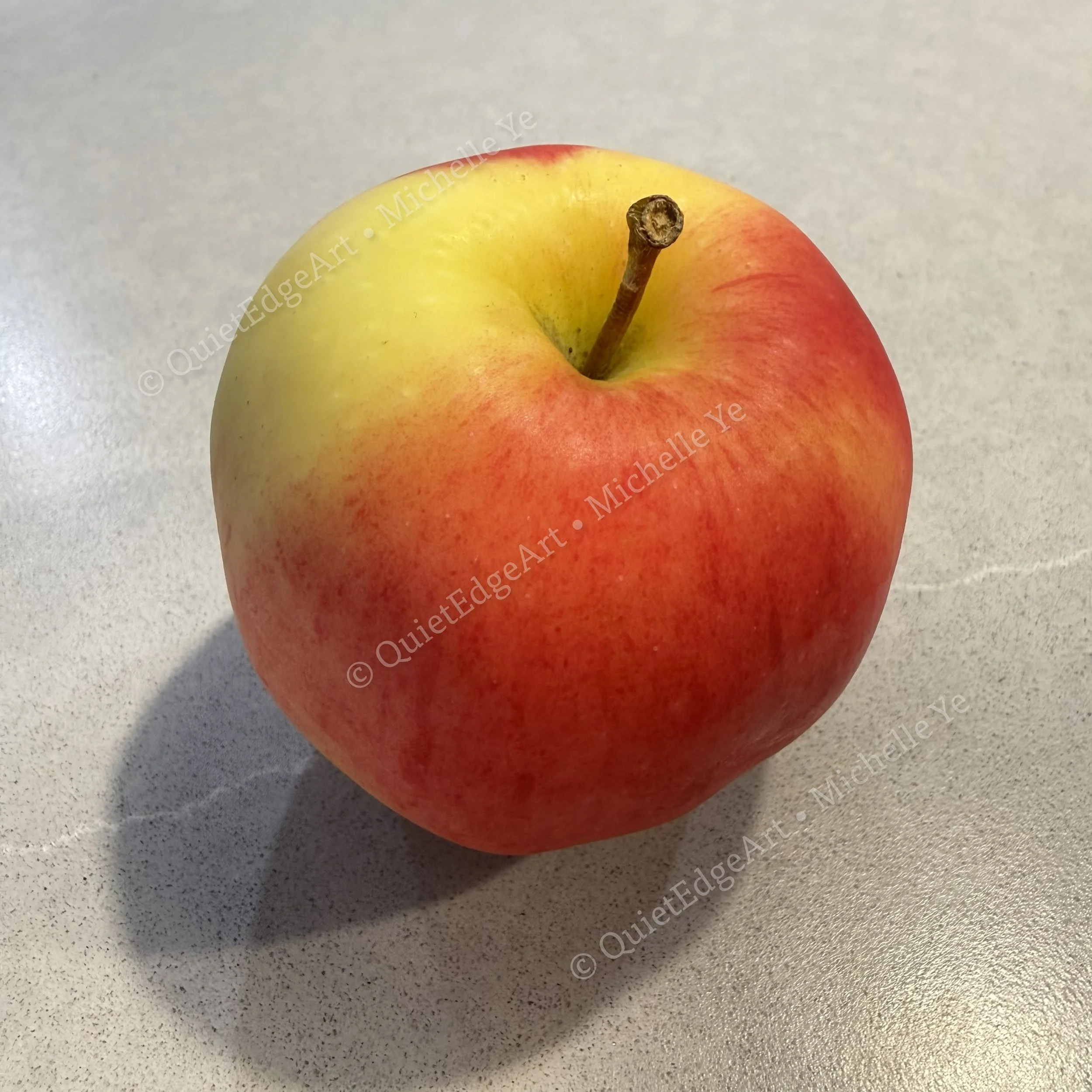 Apple-RefPic.jpg