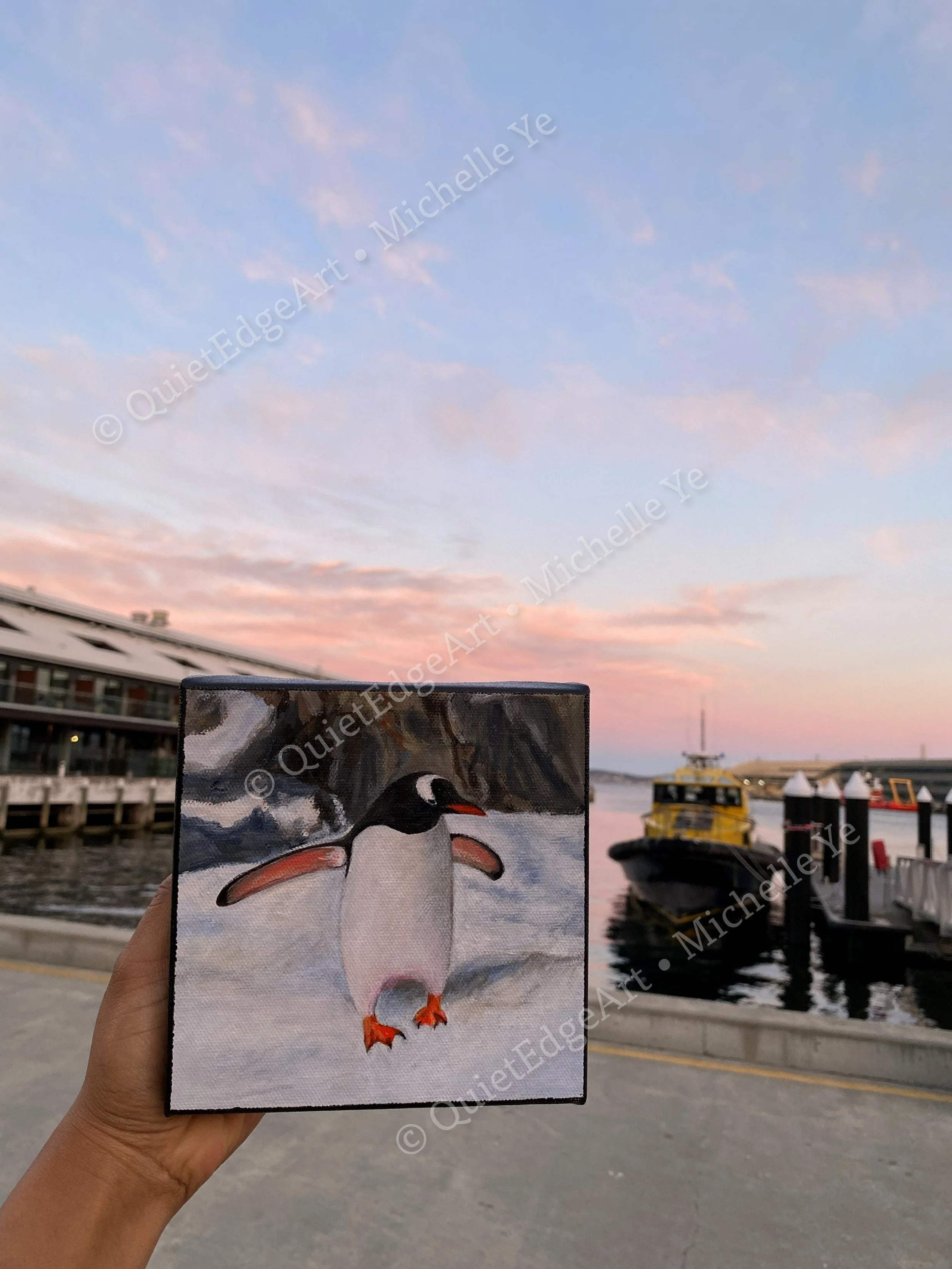 Penguin-BSP.jpg