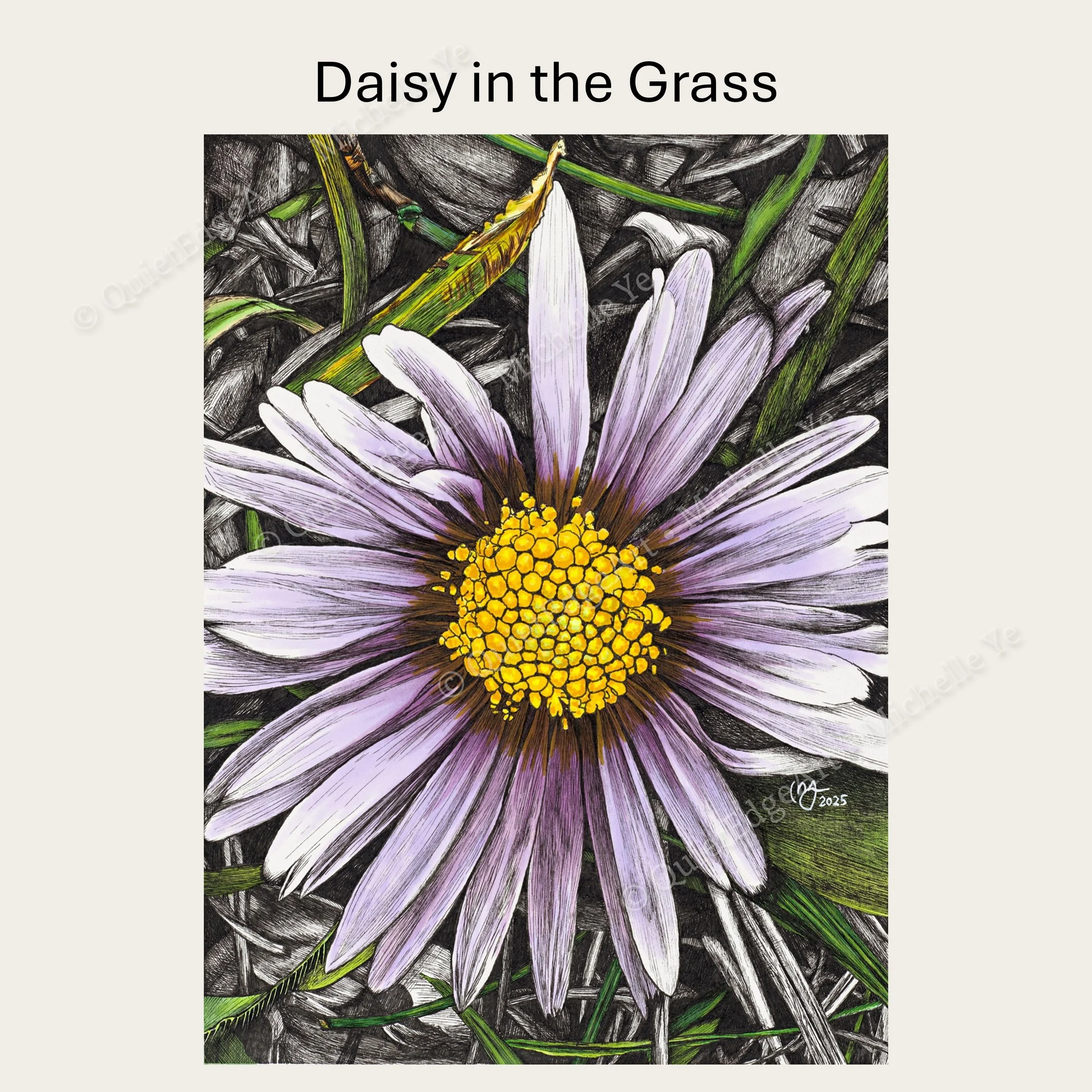 DaisyInTheGrass-title.jpg