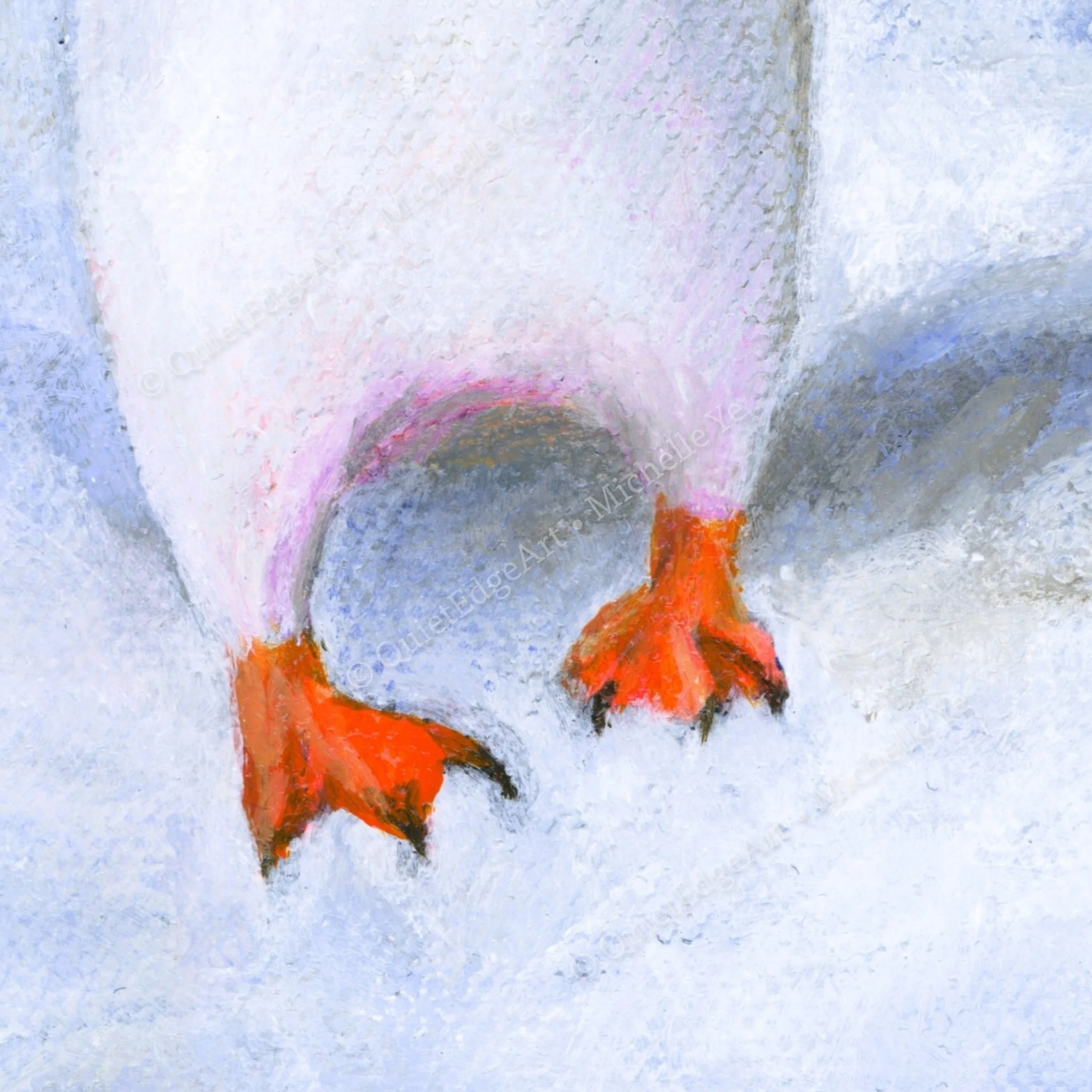 Penguin-Detail1.jpg
