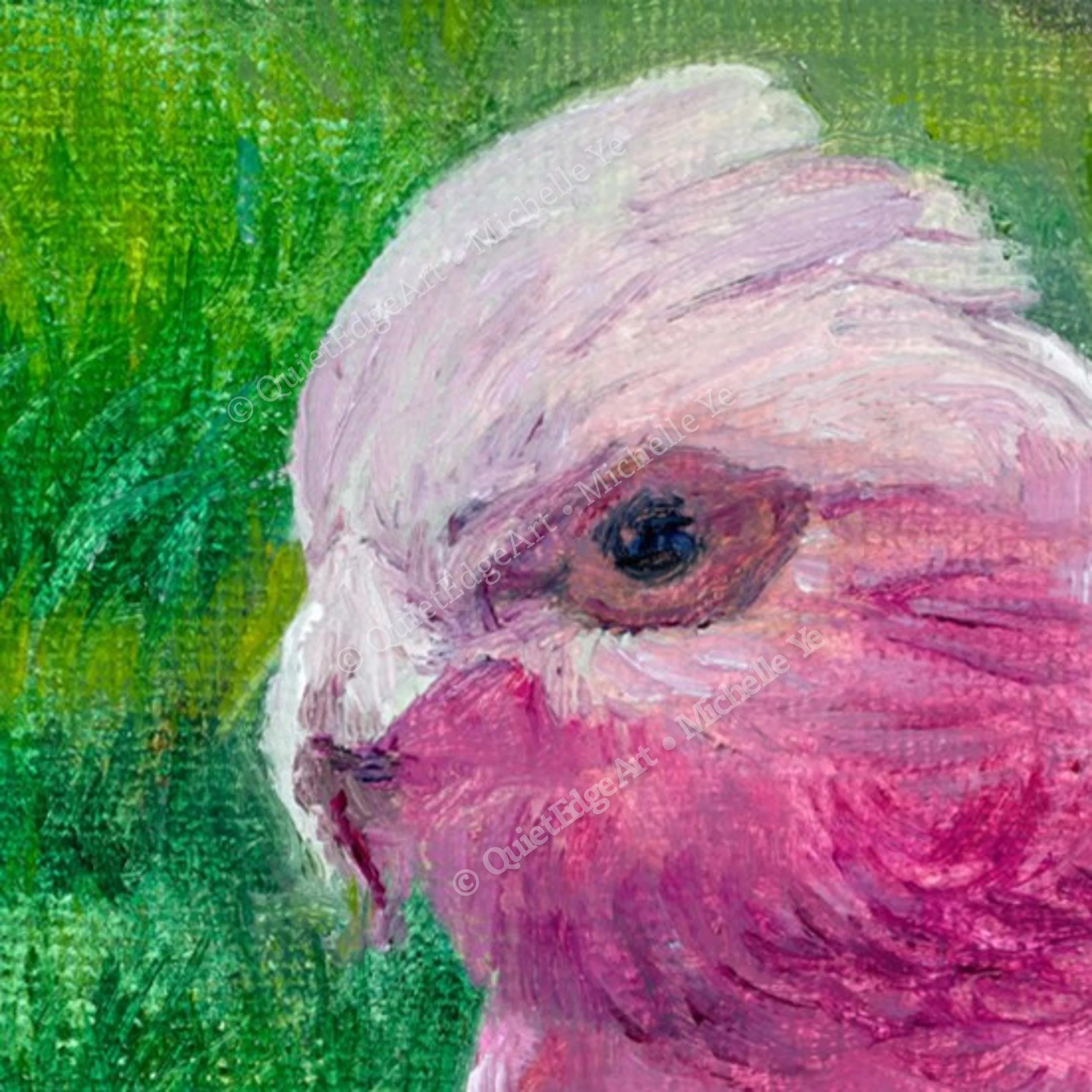 PinkCockatoo-Detail1.jpg