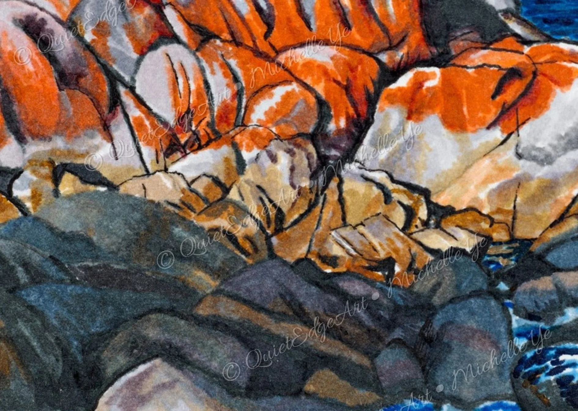 BayOfFires-Detail3.jpg