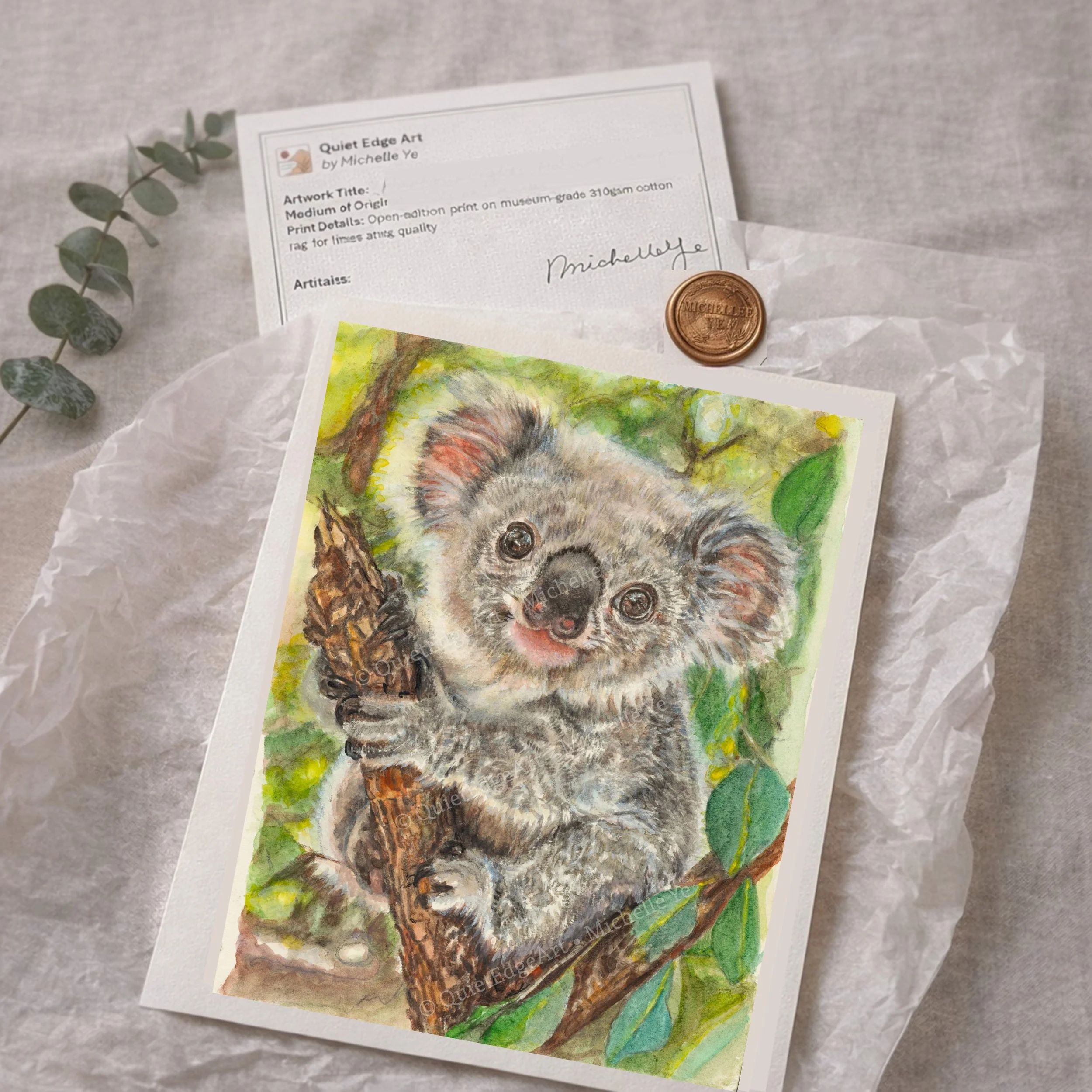 Koala (Fine Art Print)