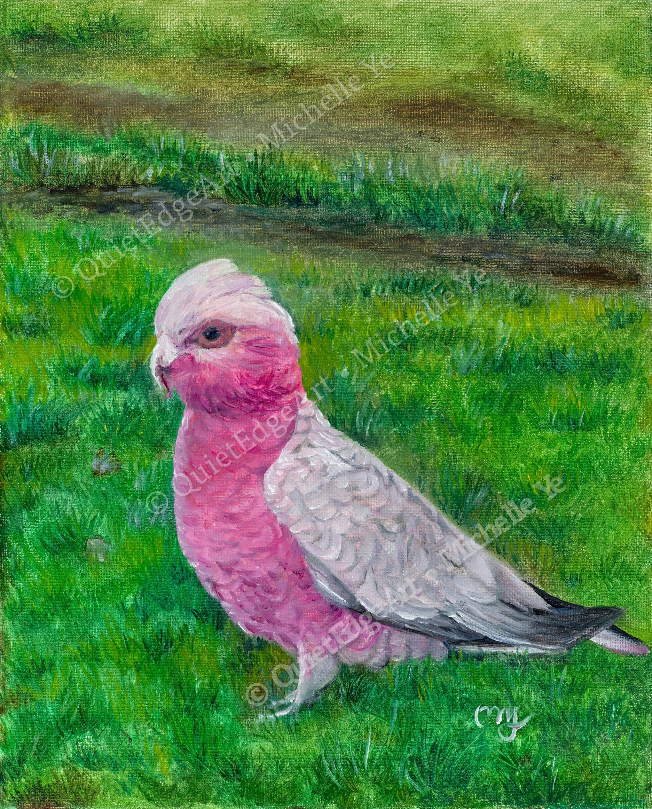 PinkCockatoo-Watermark.jpg