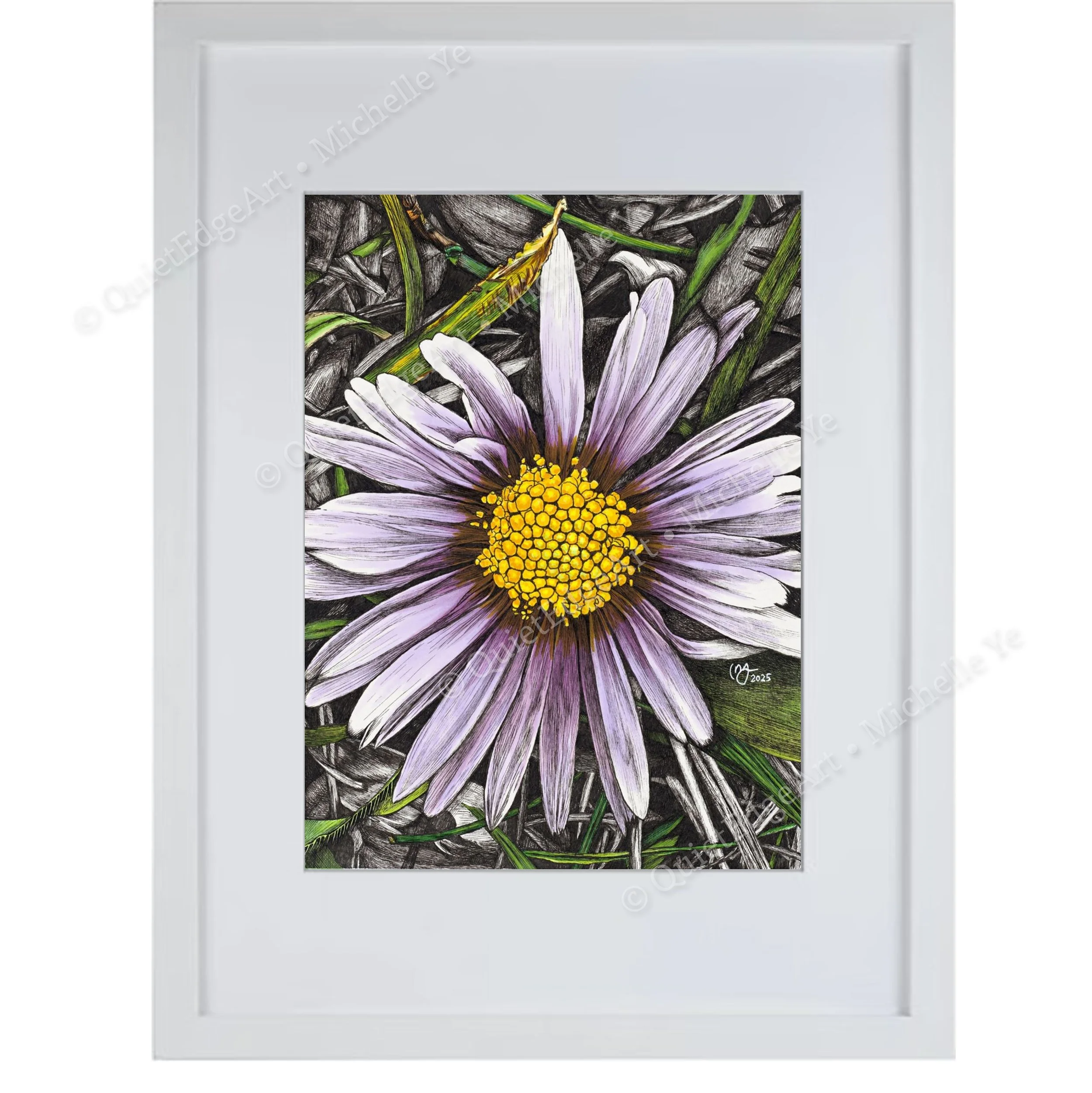 DaisyInTheGrass-BudgetFramed.jpg