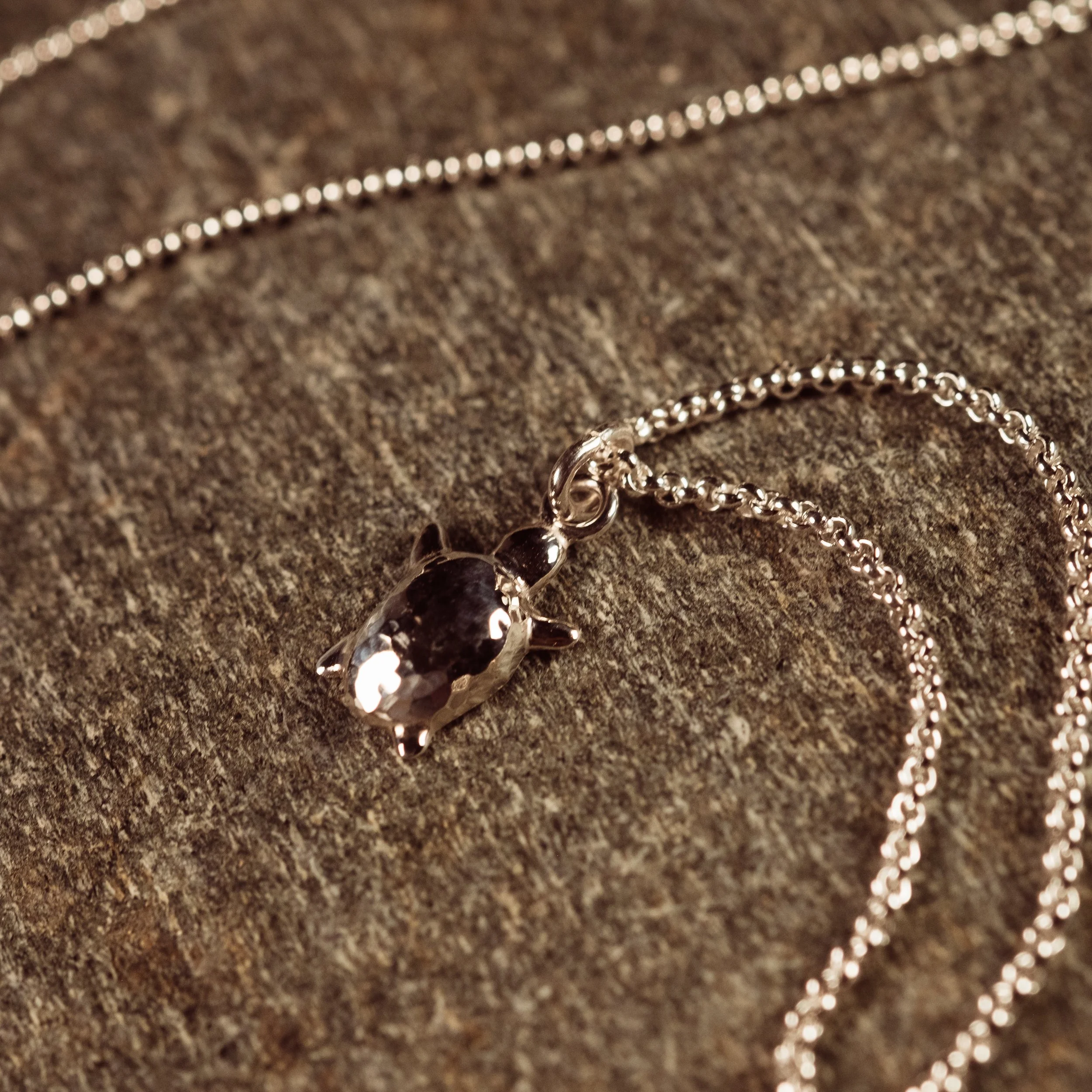 Turtle ketting.jpg