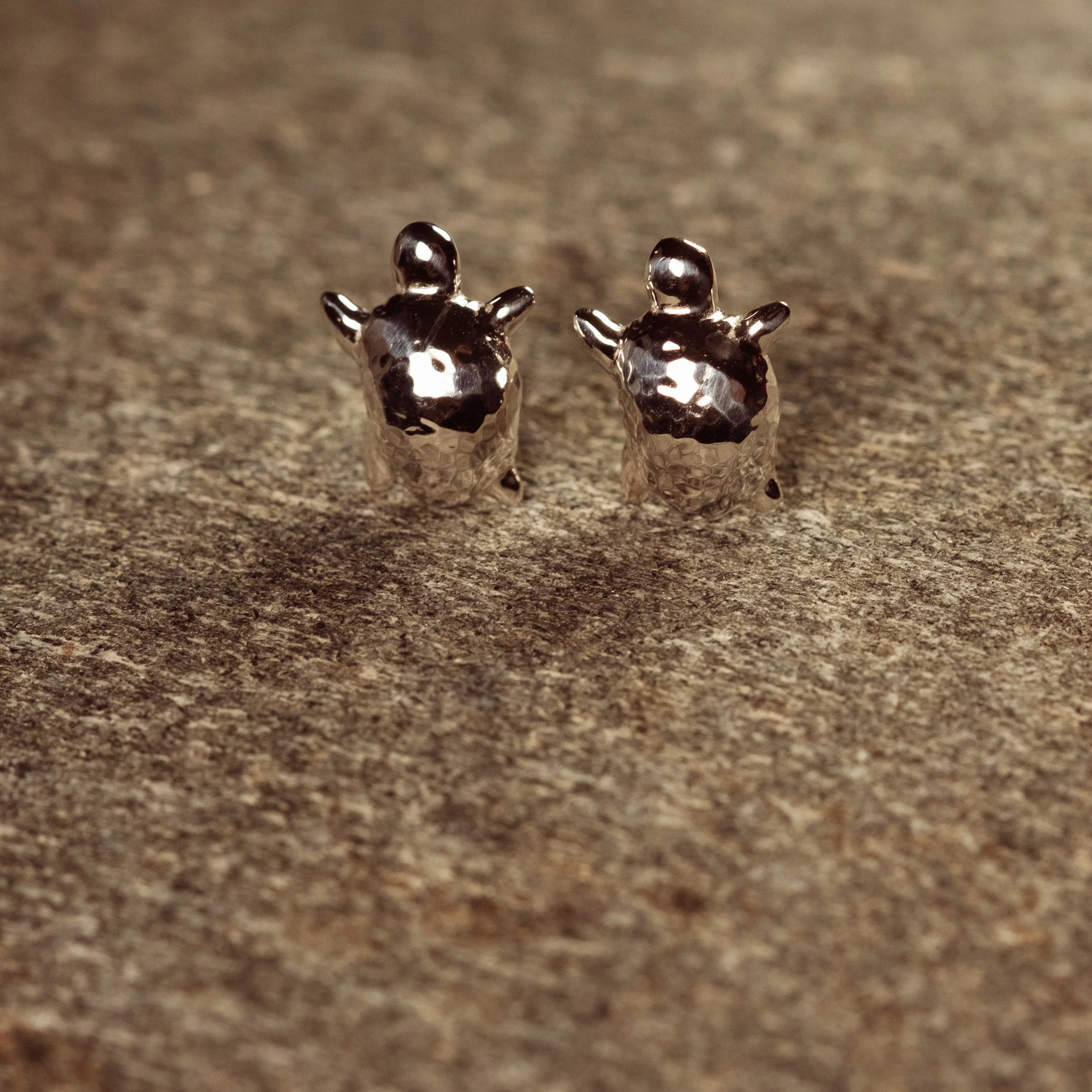 Turtle oorringen.jpg