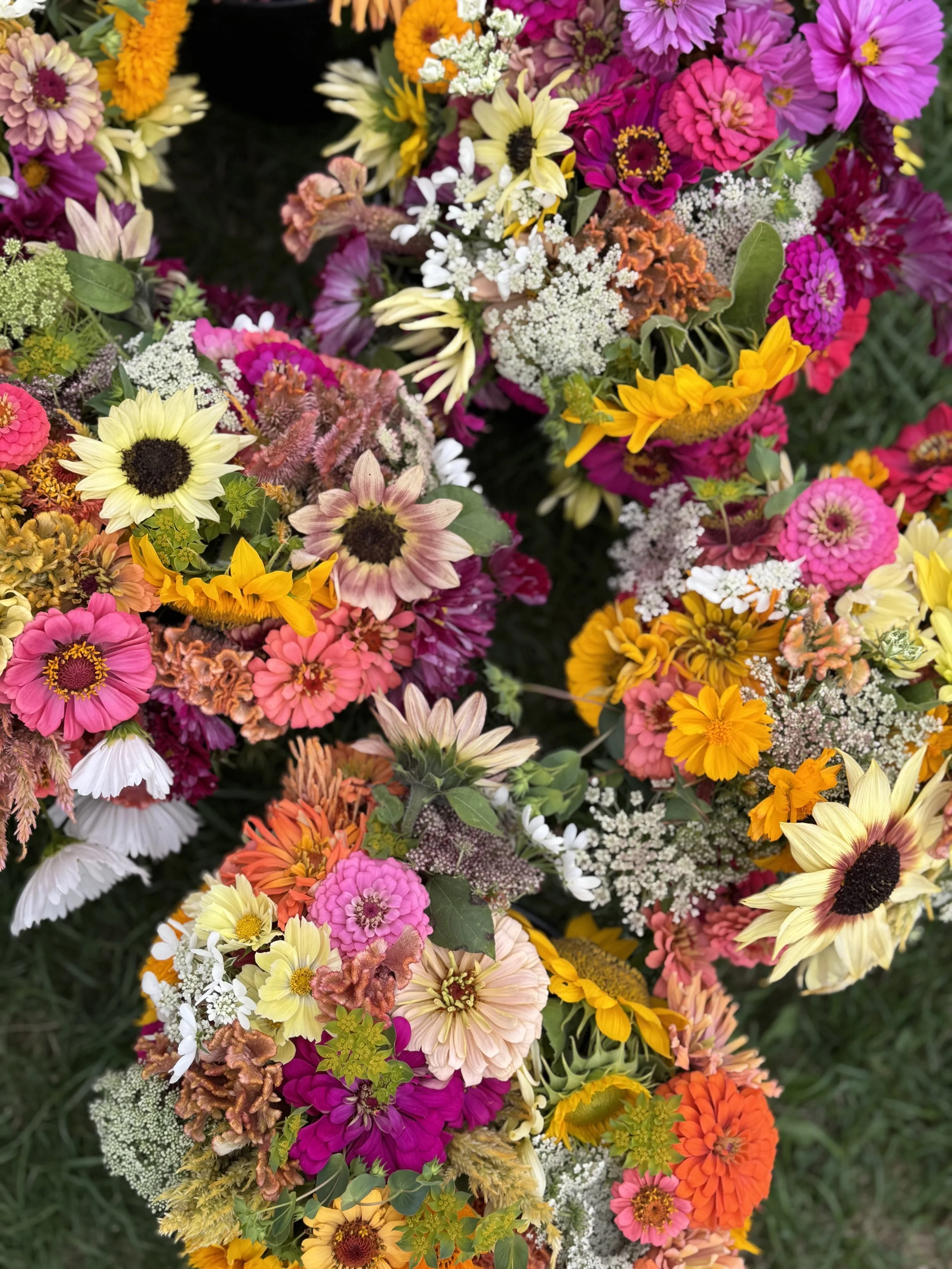 full aug or sept.jpg