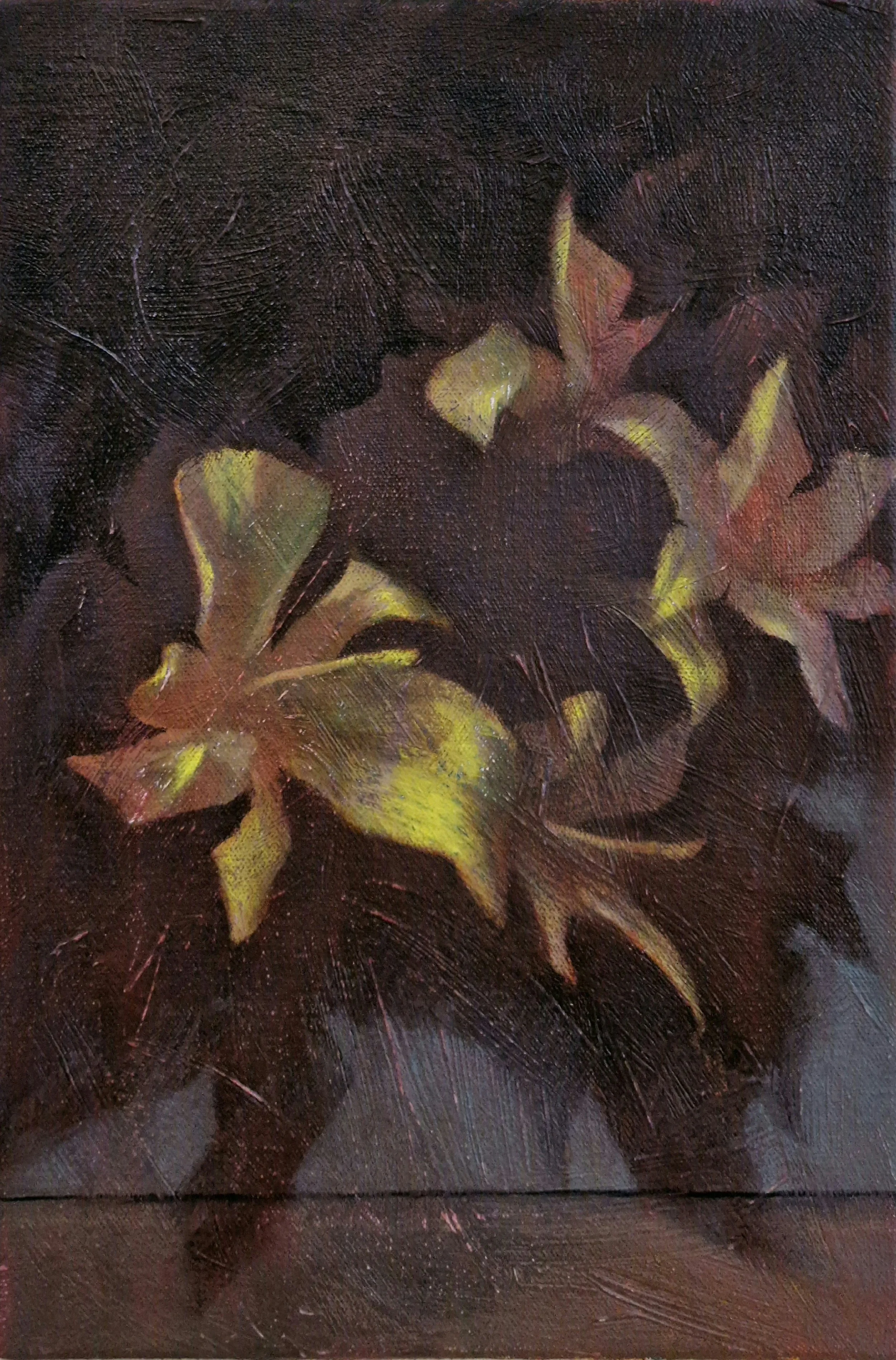 Black mould, 2026. 30 x 20cm