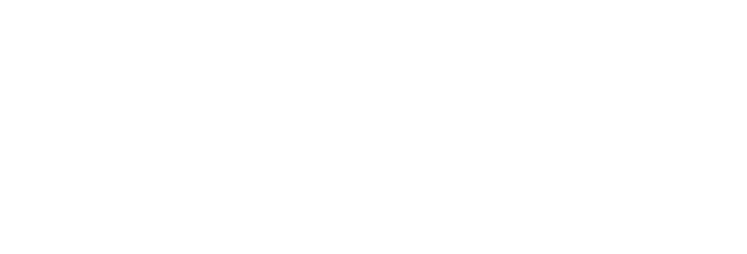 WHITE_TRANSPARENT_Logo.png