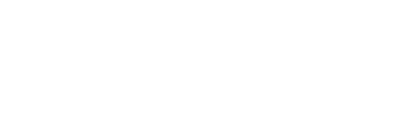 Allegro.pl_sklep.svg.png