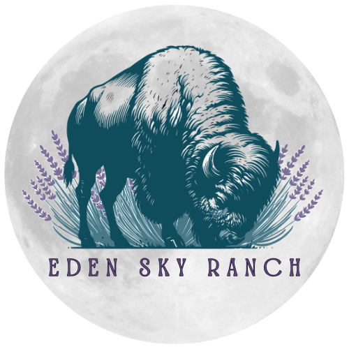 Illustration of a bison in front of a full moon with lavender and grass, with text saying 'Eden Sky Ranch'.