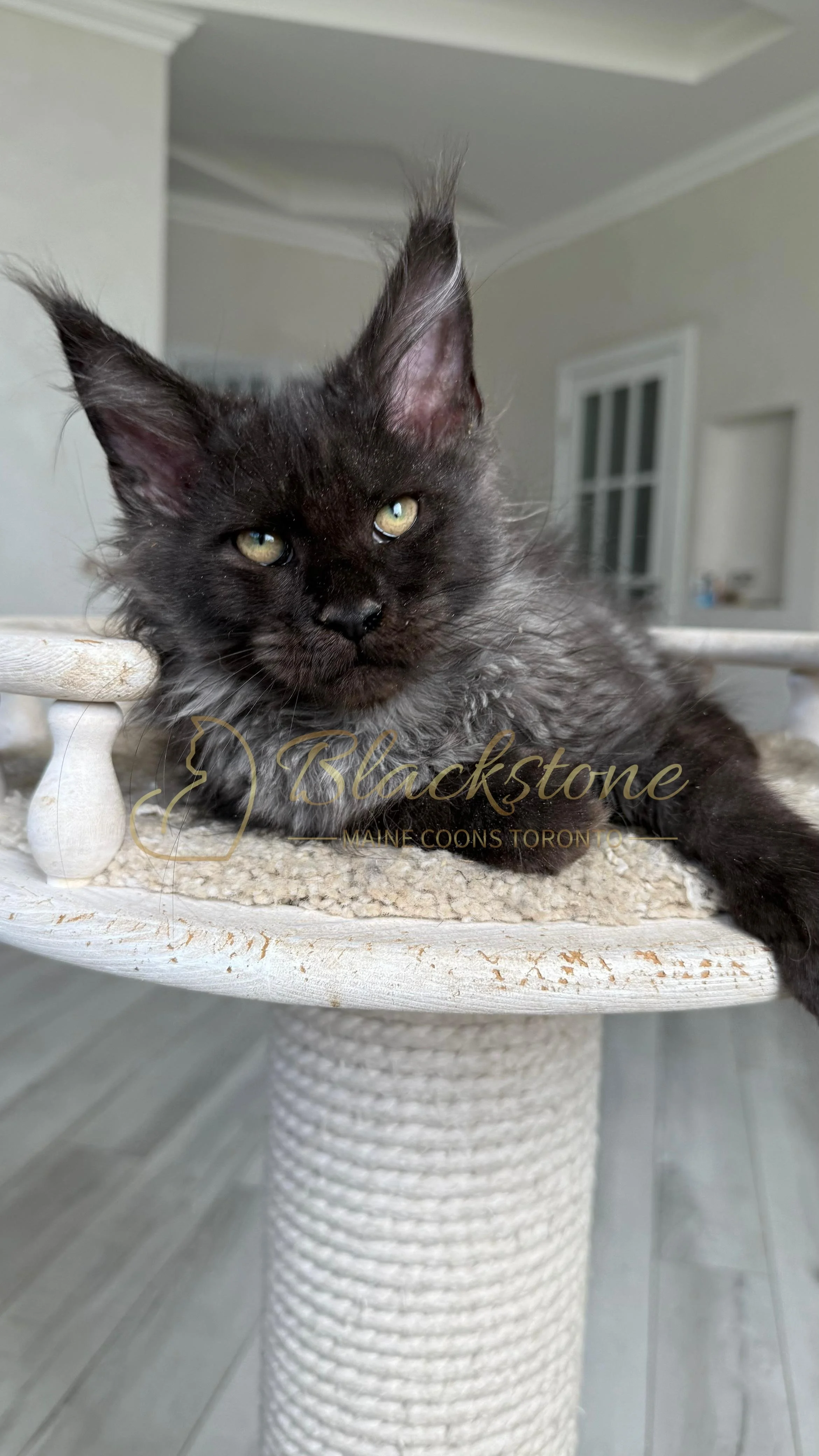 eZy Watermark_12-08-2025_07-54-12-3910PM.JPG