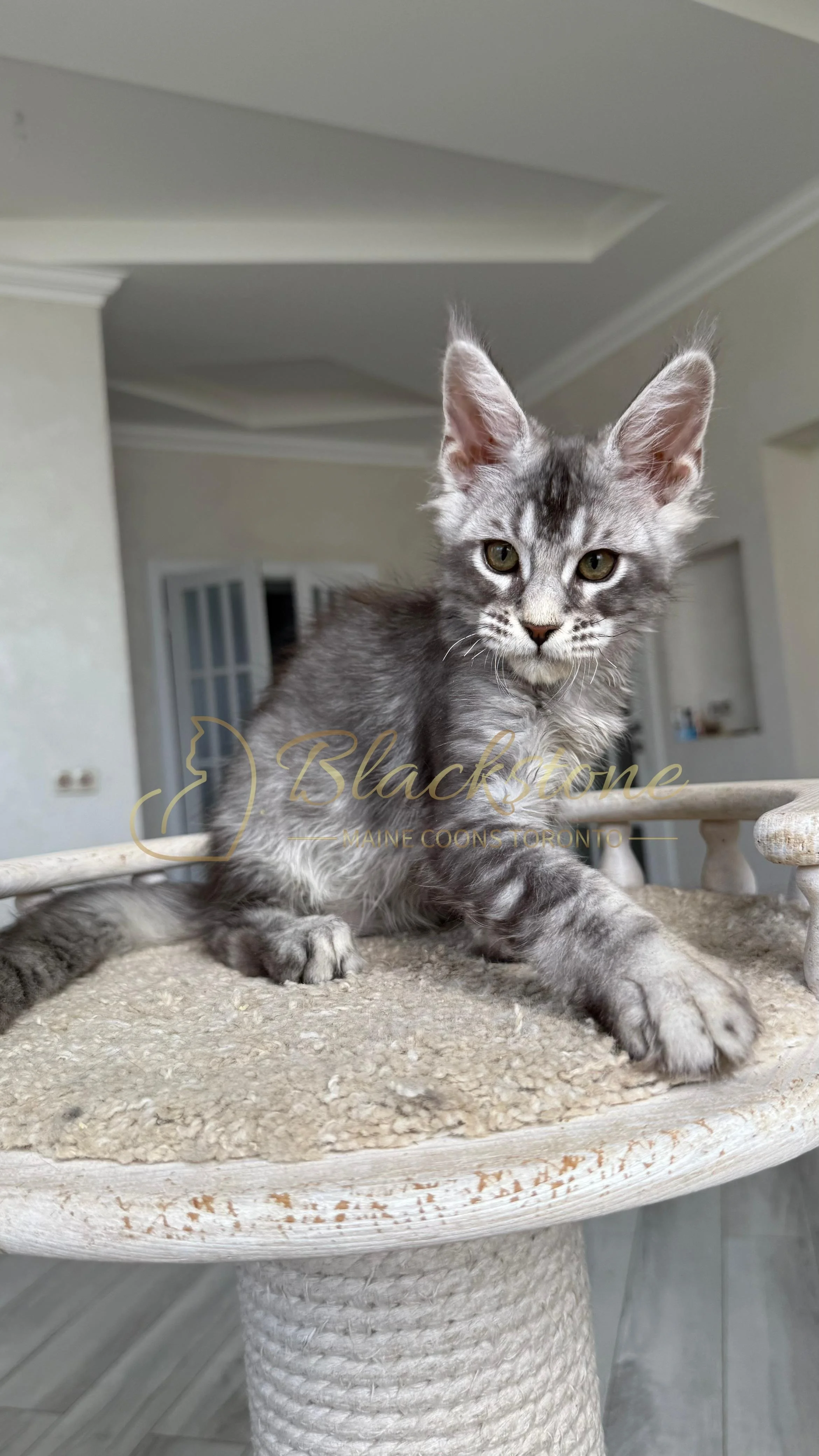eZy Watermark_12-08-2025_09-42-41-2520PM.JPG