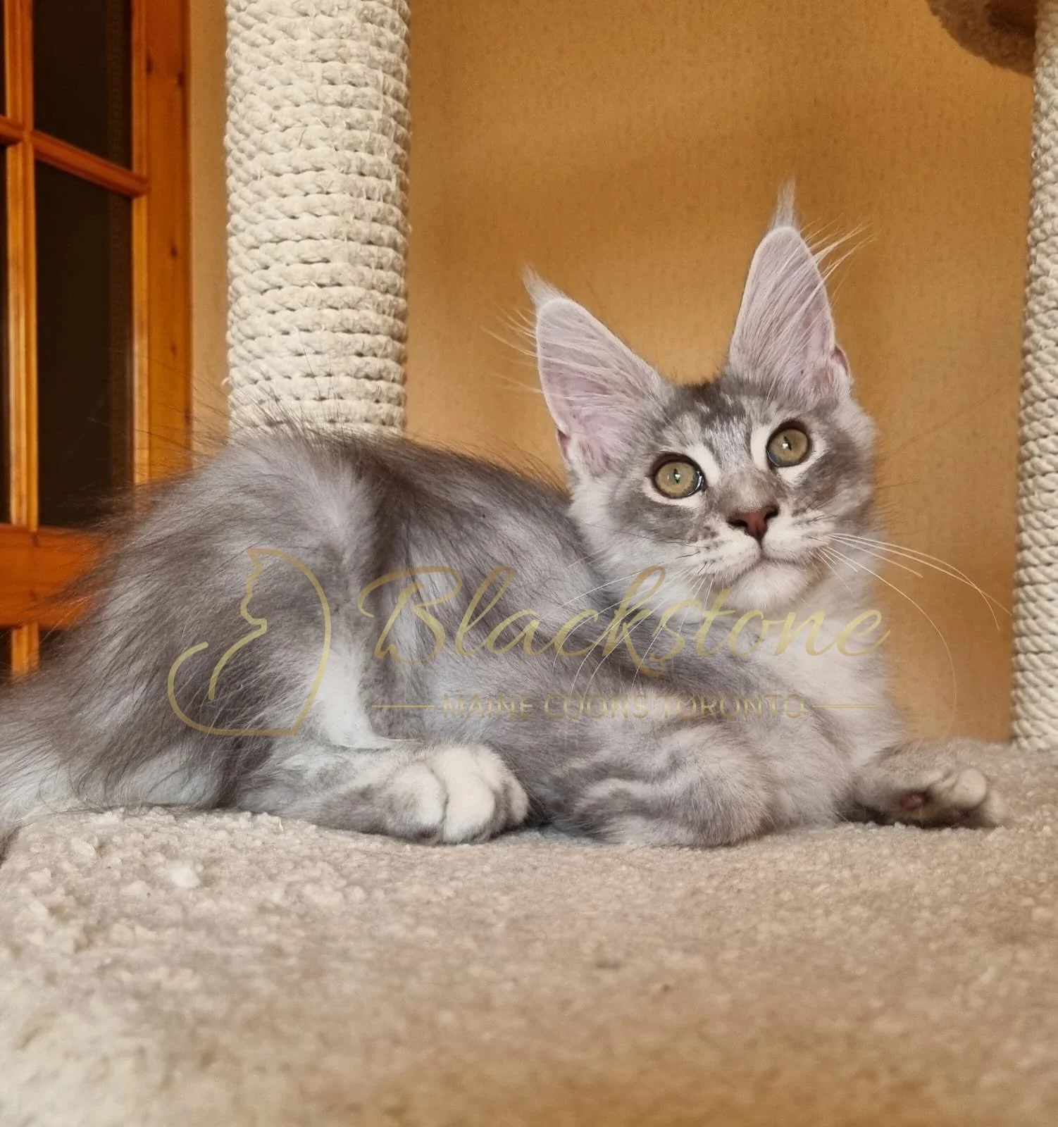 eZy Watermark_10-08-2025_06-51-17-6940PM.JPG