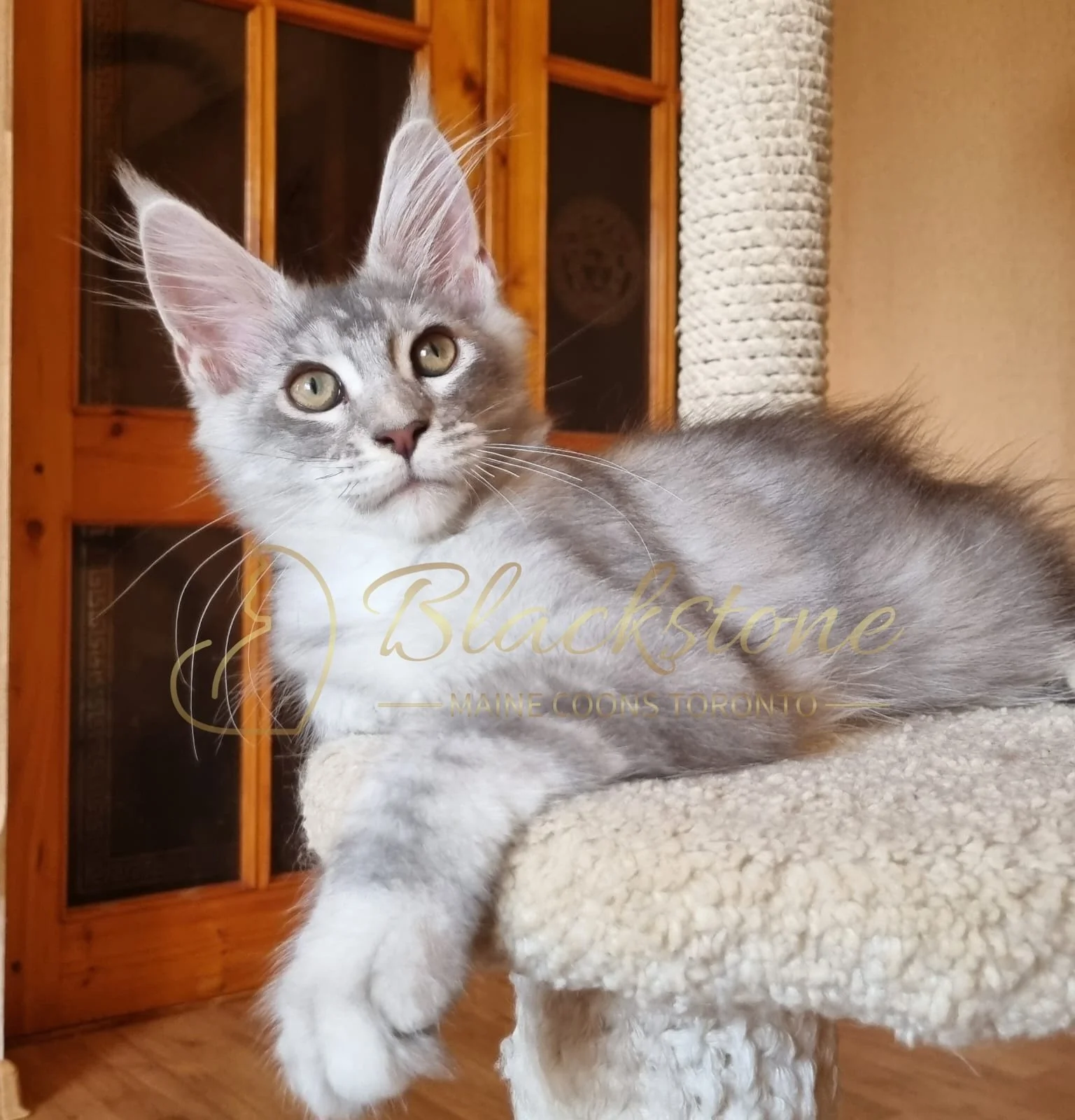 eZy Watermark_10-08-2025_06-51-17-7760PM.JPG