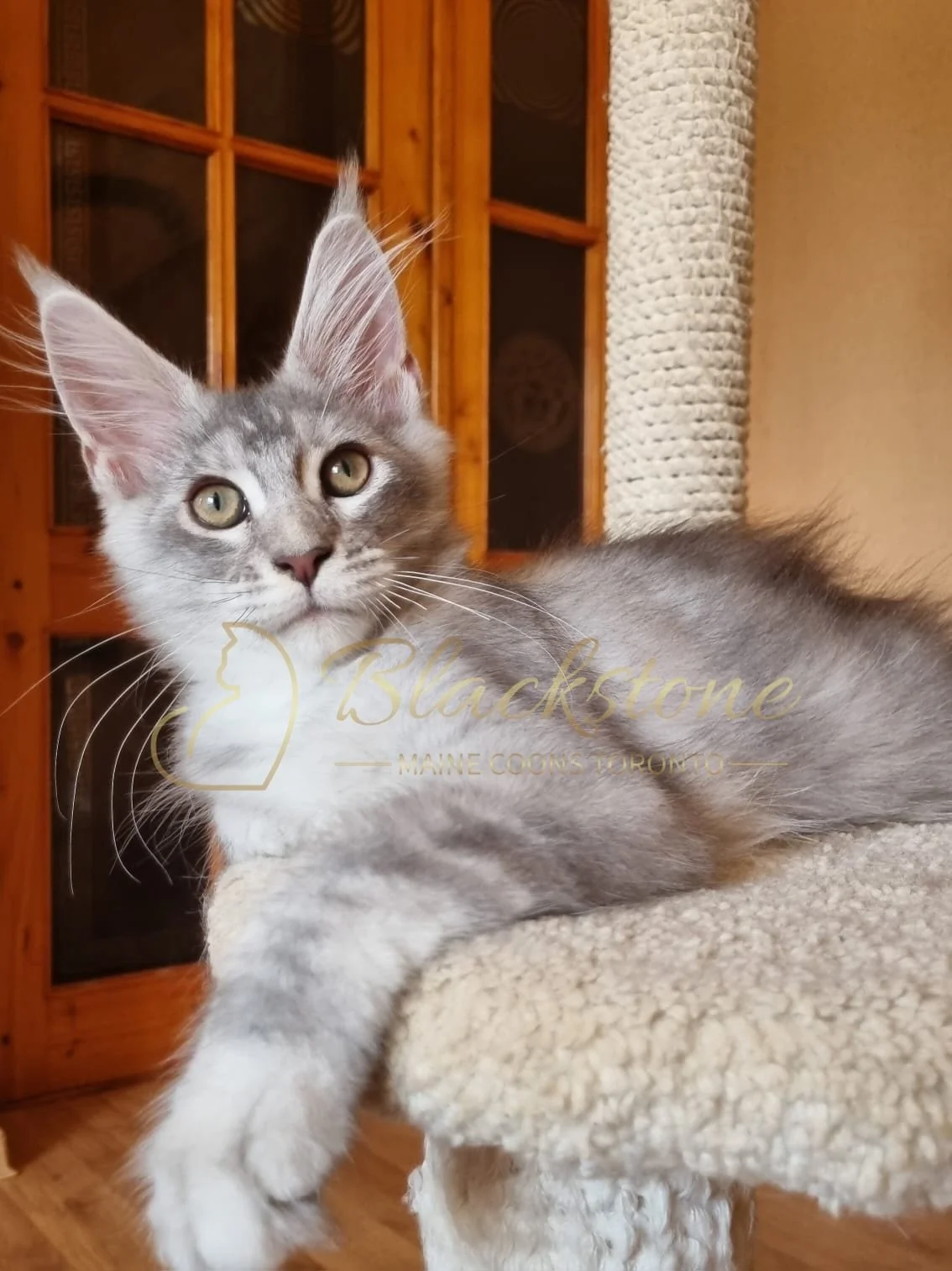 eZy Watermark_10-08-2025_06-51-17-8500PM.JPG