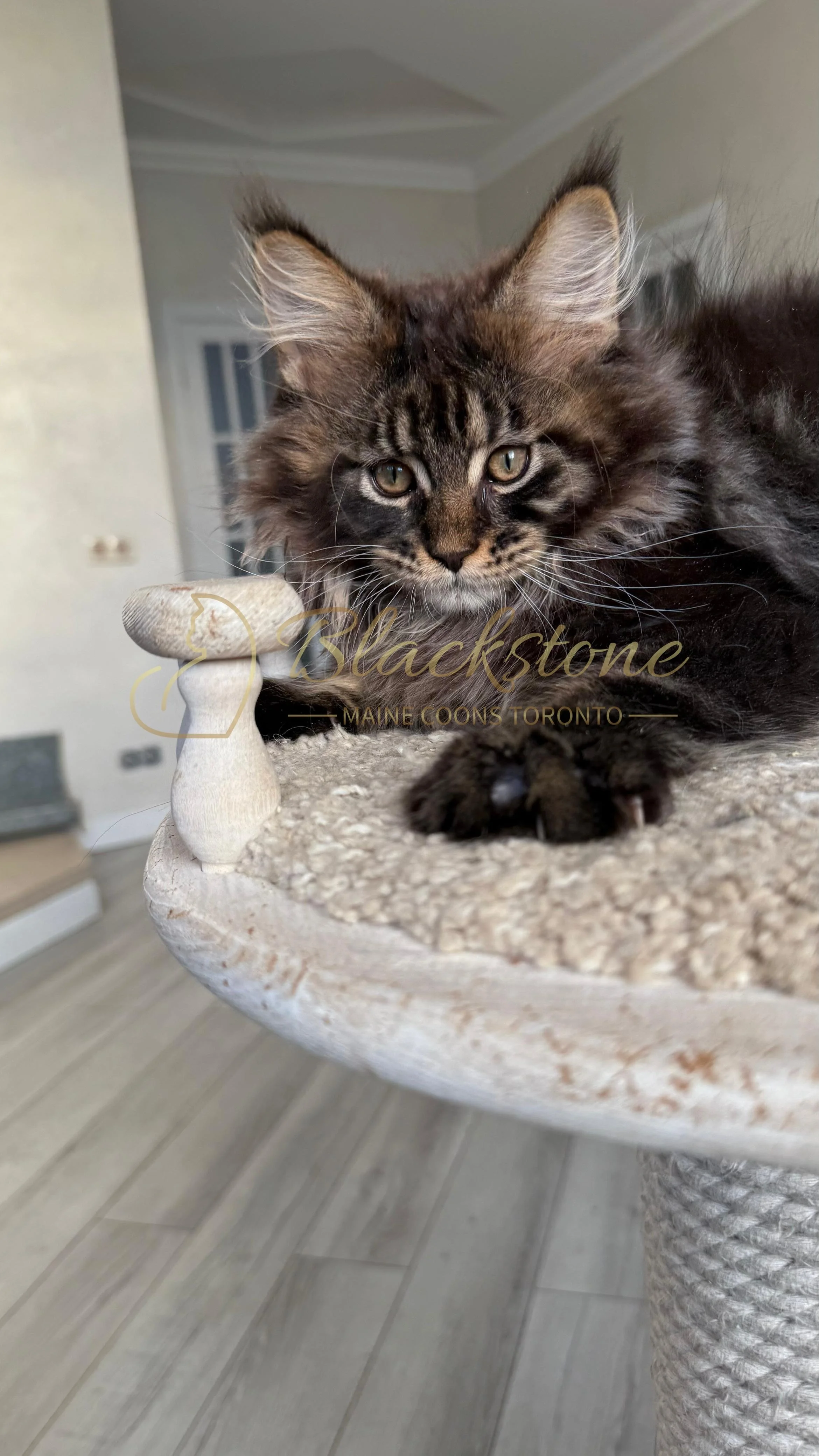 eZy Watermark_20-09-2025_08-42-29-8810PM.JPG