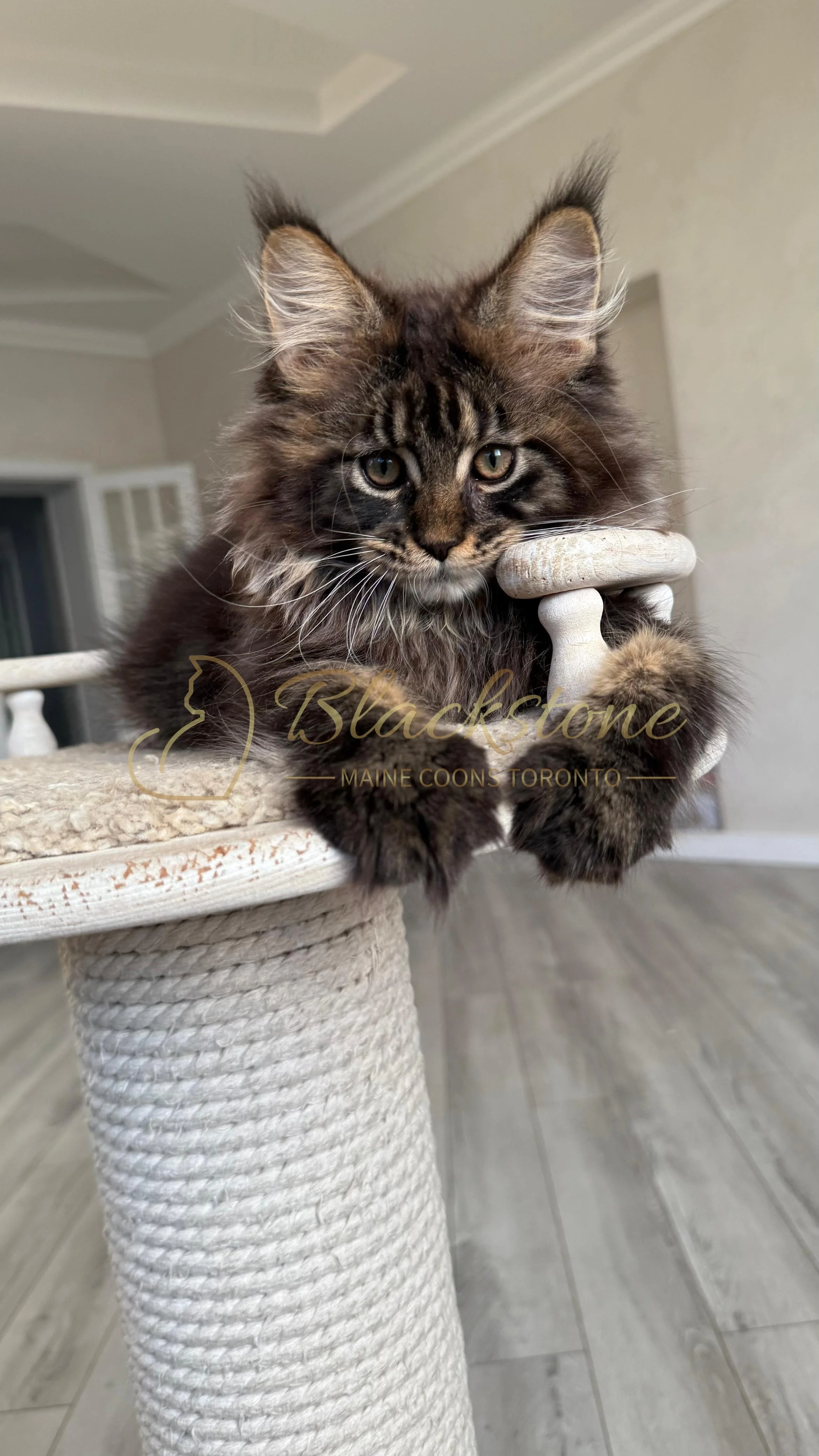 eZy Watermark_20-09-2025_08-42-31-8370PM.JPG
