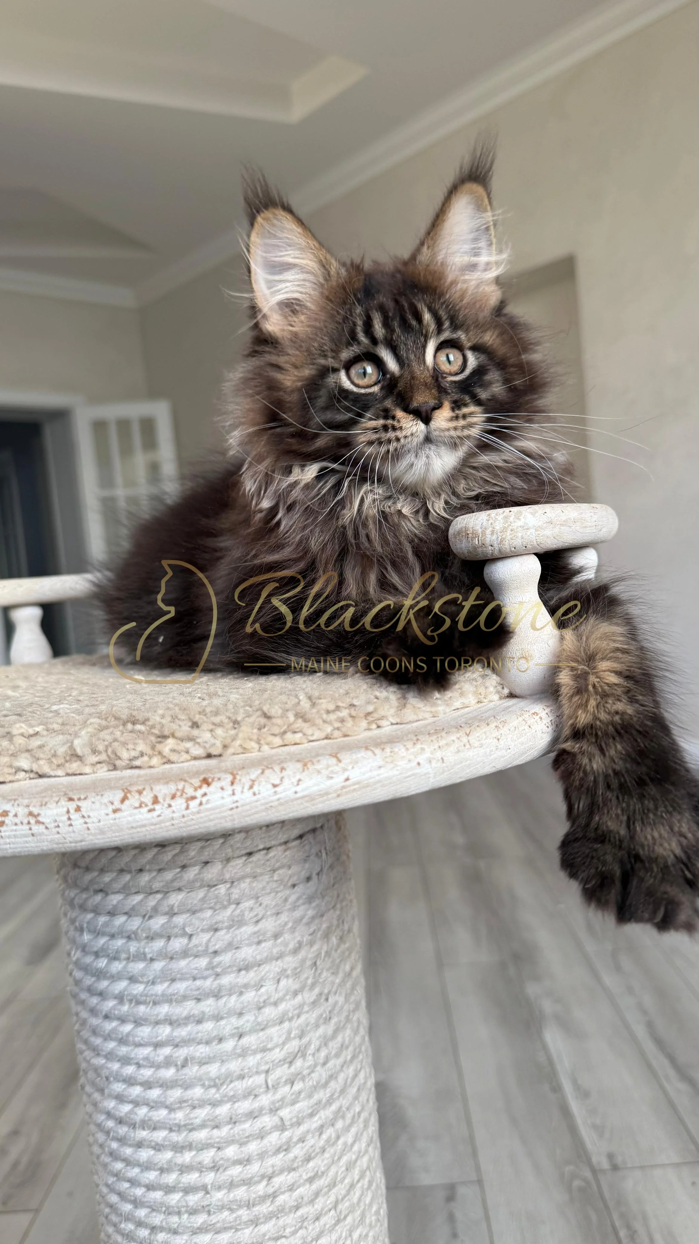 eZy Watermark_20-09-2025_08-42-31-9840PM.JPG