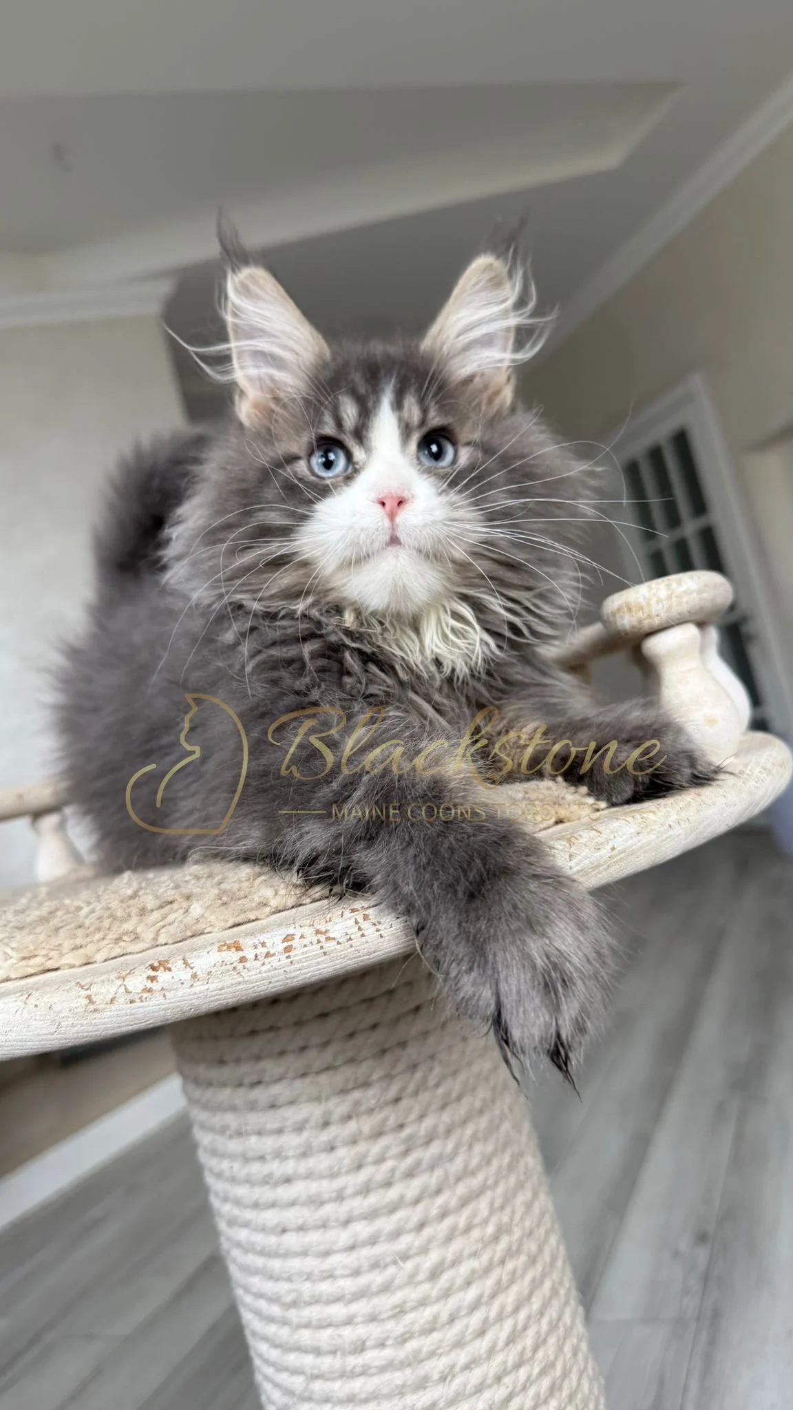 eZy Watermark_14-10-2025_01-27-18-2660PM.JPG