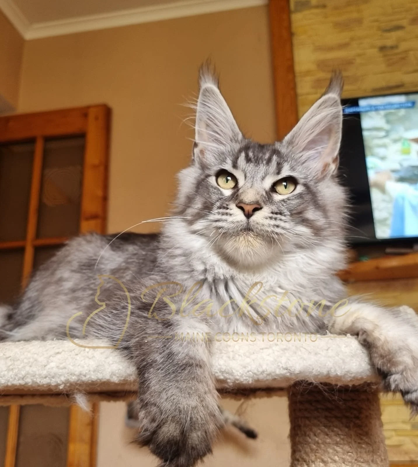 eZy Watermark_18-10-2025_06-51-43-7820PM.JPG