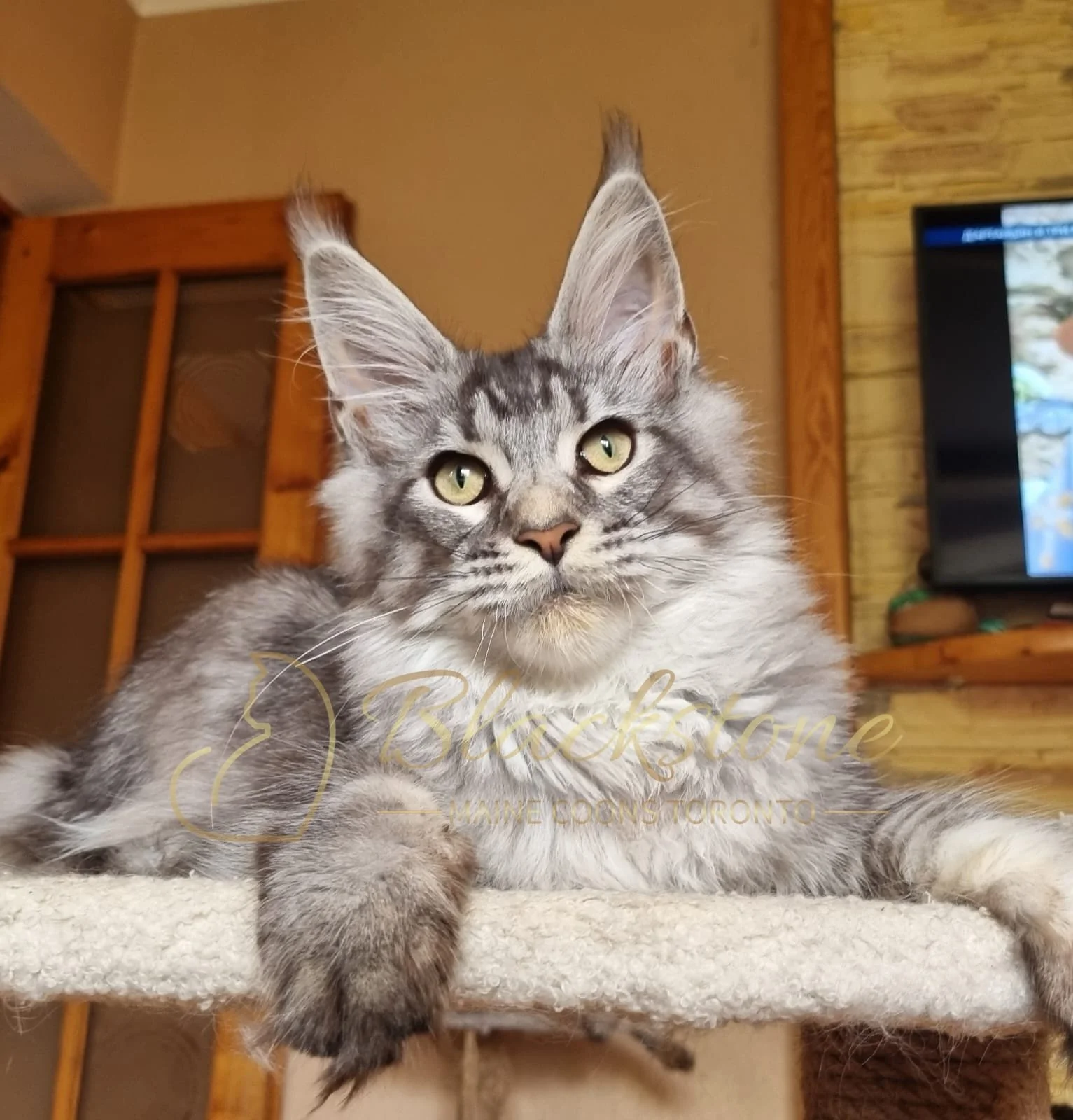 eZy Watermark_18-10-2025_06-51-43-6990PM.JPG