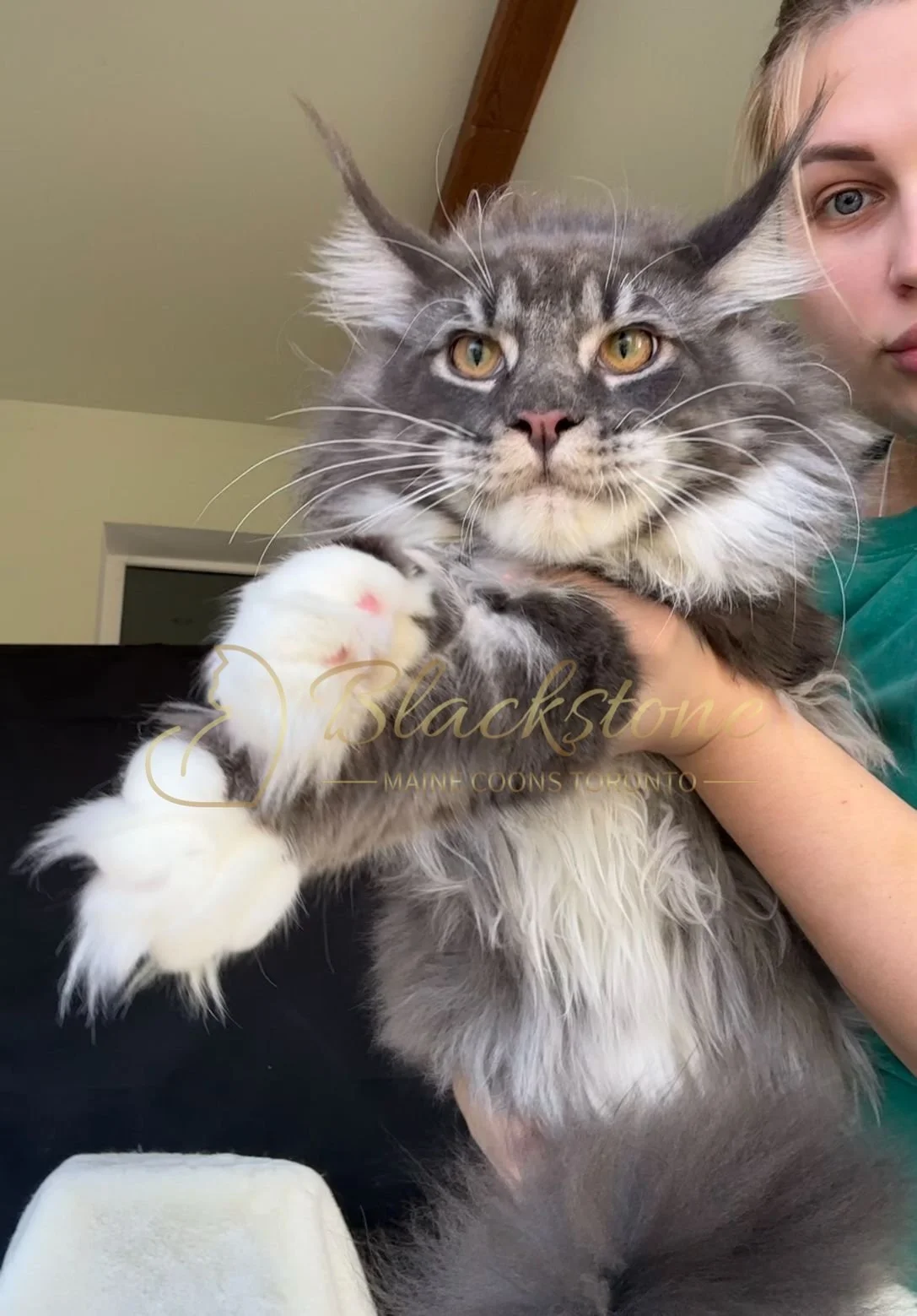 eZy Watermark_04-11-2025_03-52-49-0330PM.JPG