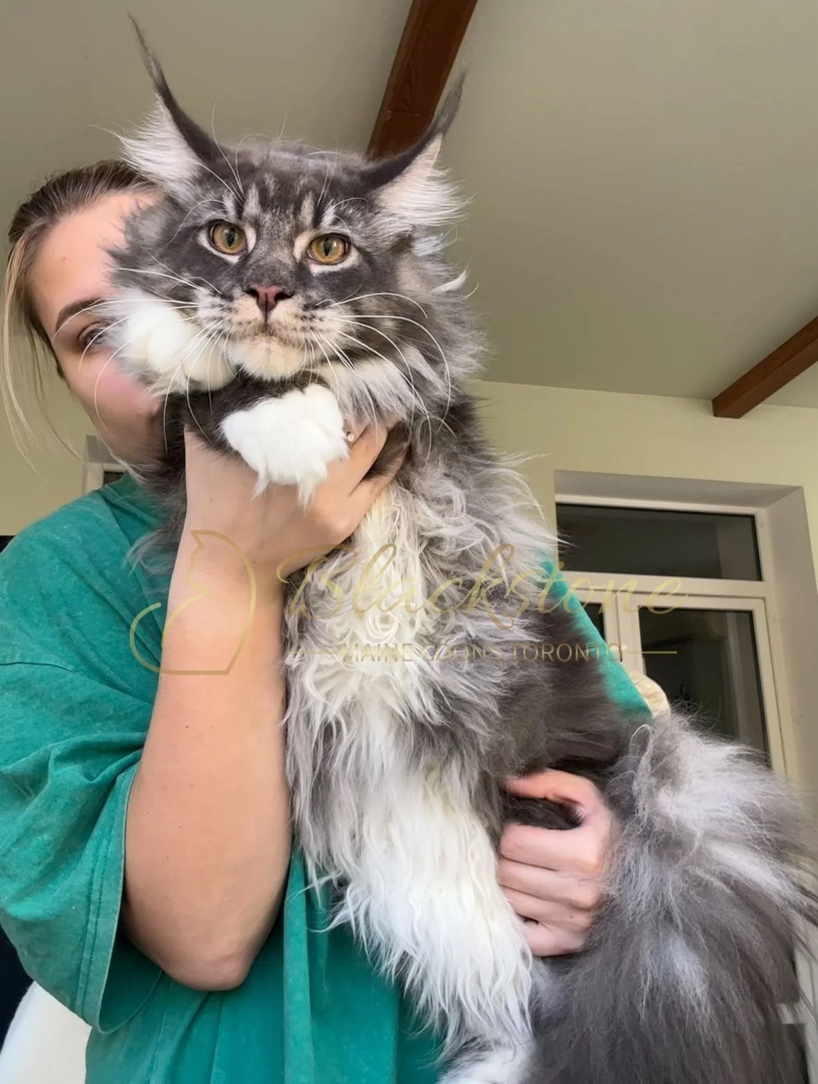 eZy Watermark_04-11-2025_03-52-49-1980PM.JPG