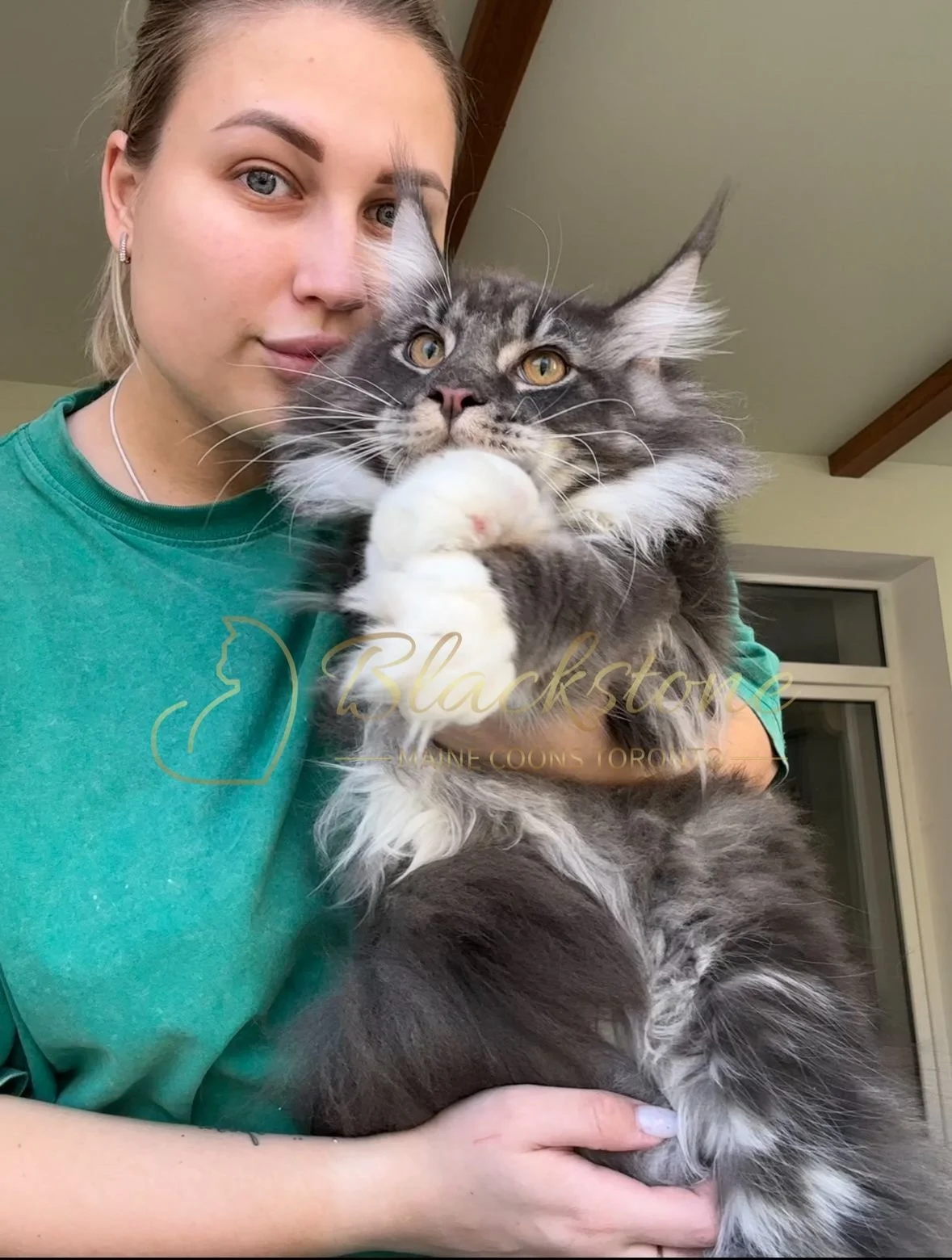 eZy Watermark_04-11-2025_03-52-49-2830PM.JPG