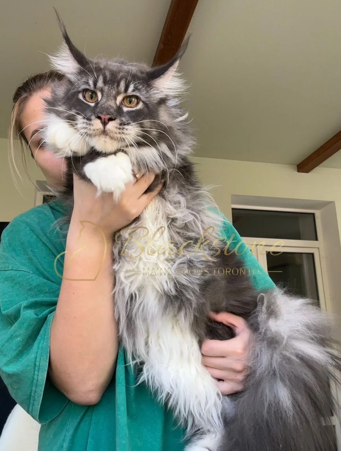 eZy Watermark_04-11-2025_03-52-49-3680PM.JPG