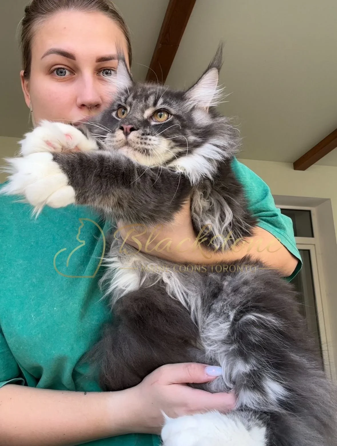 eZy Watermark_04-11-2025_03-52-49-4520PM.JPG