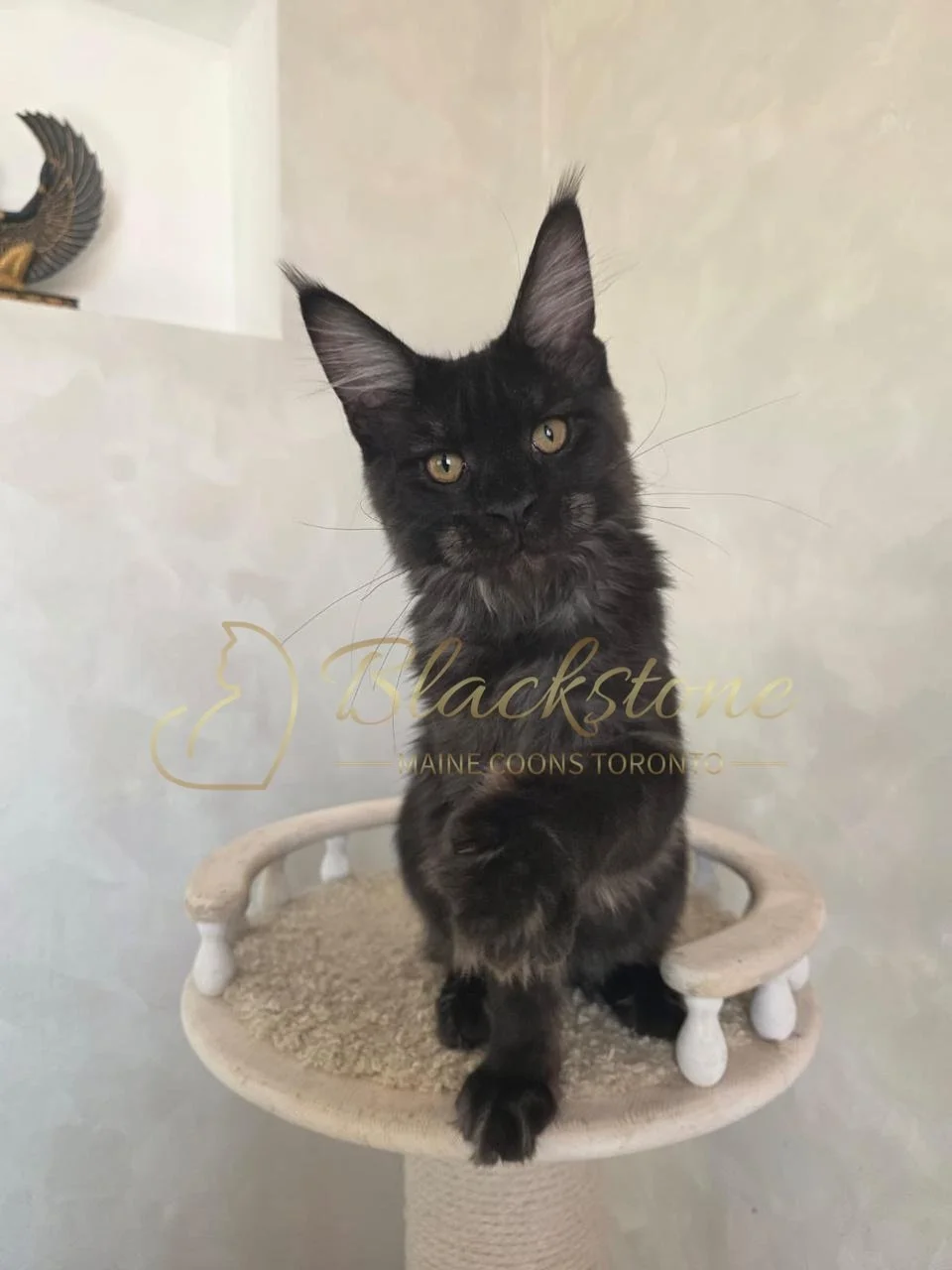 eZy Watermark_05-11-2025_08-59-06-7910AM.JPG