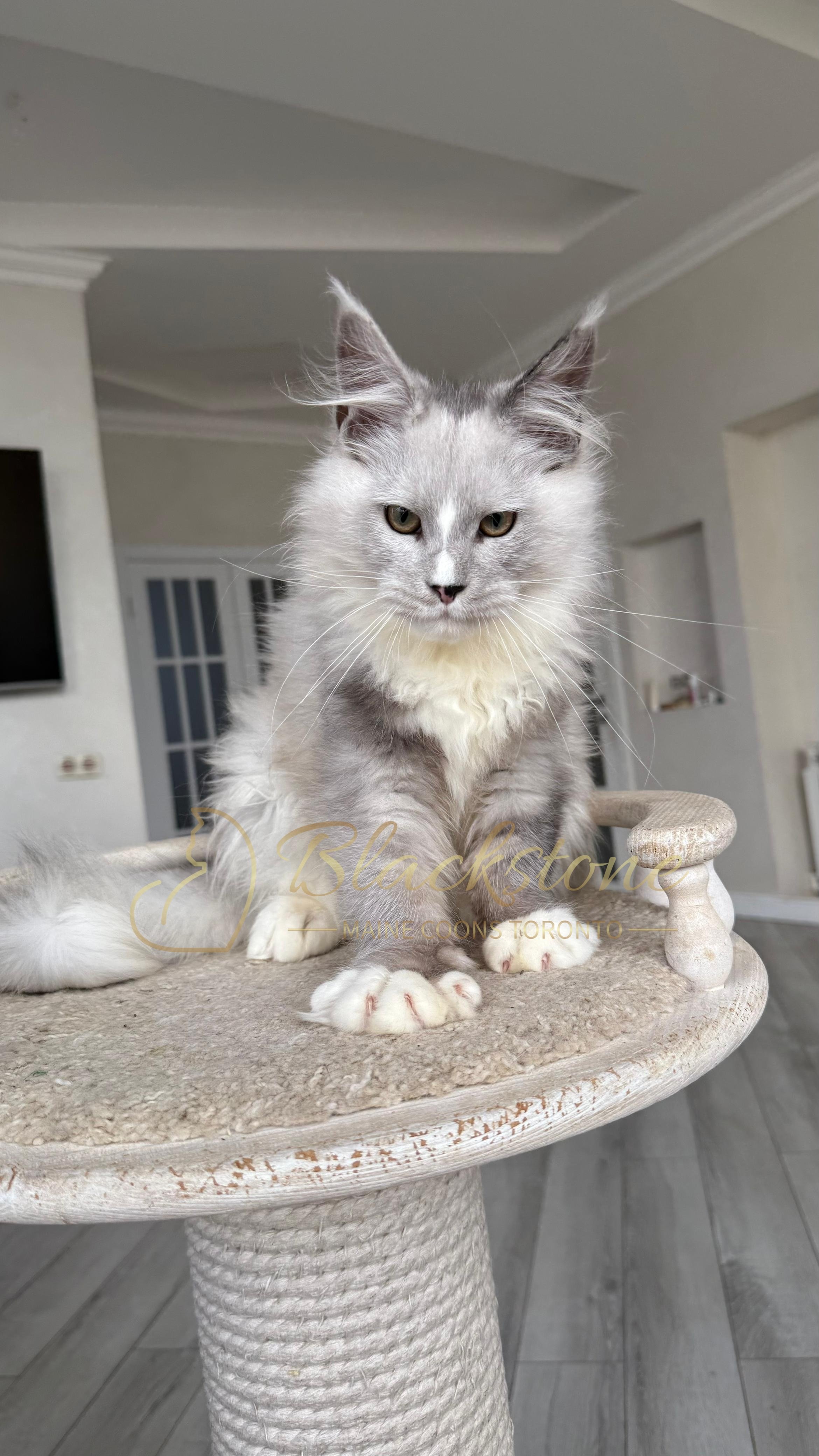 eZy Watermark_08-11-2025_08-29-38-0760PM.JPG