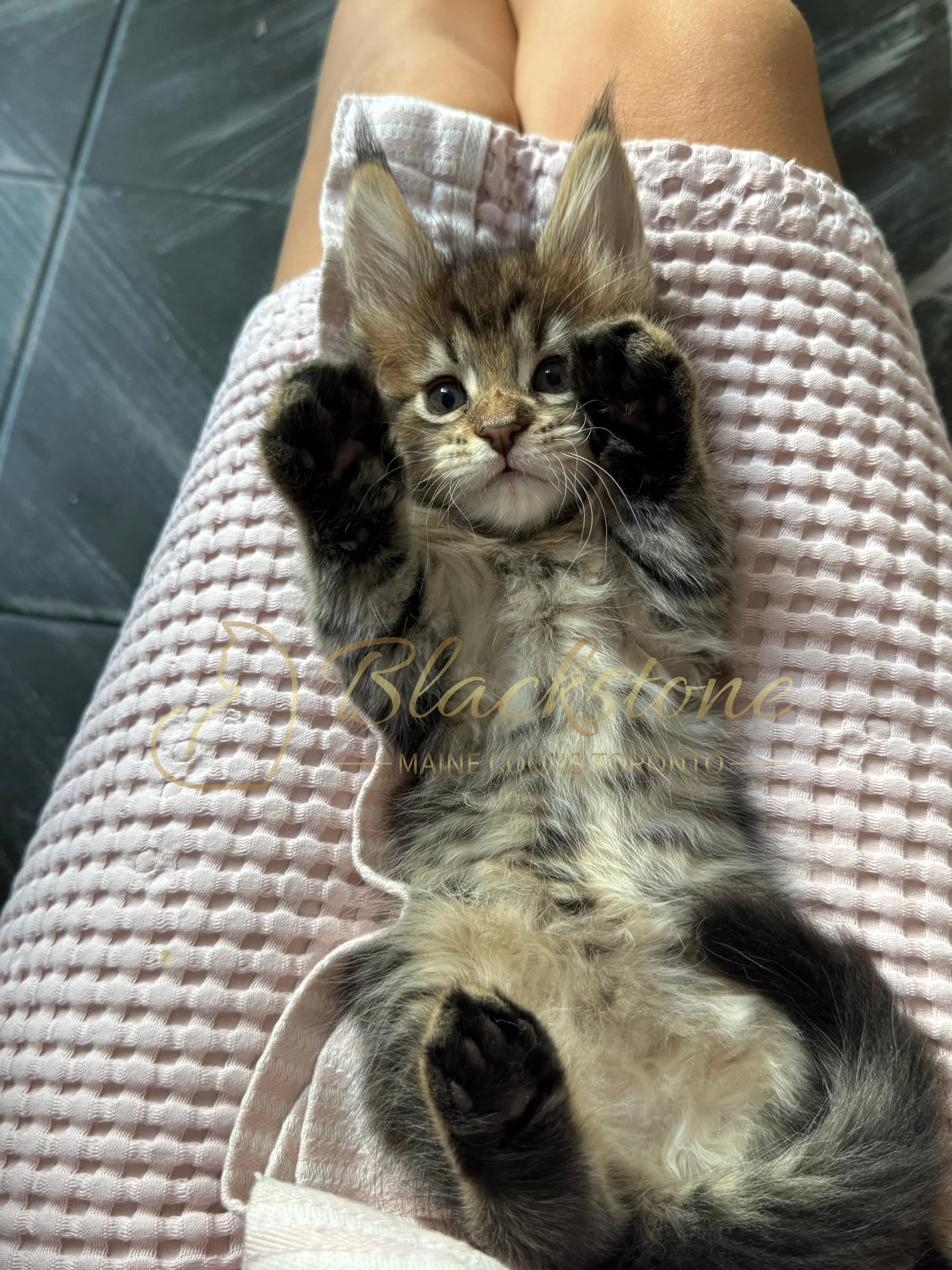 eZy Watermark_21-11-2025_11-08-54-5790AM.JPG