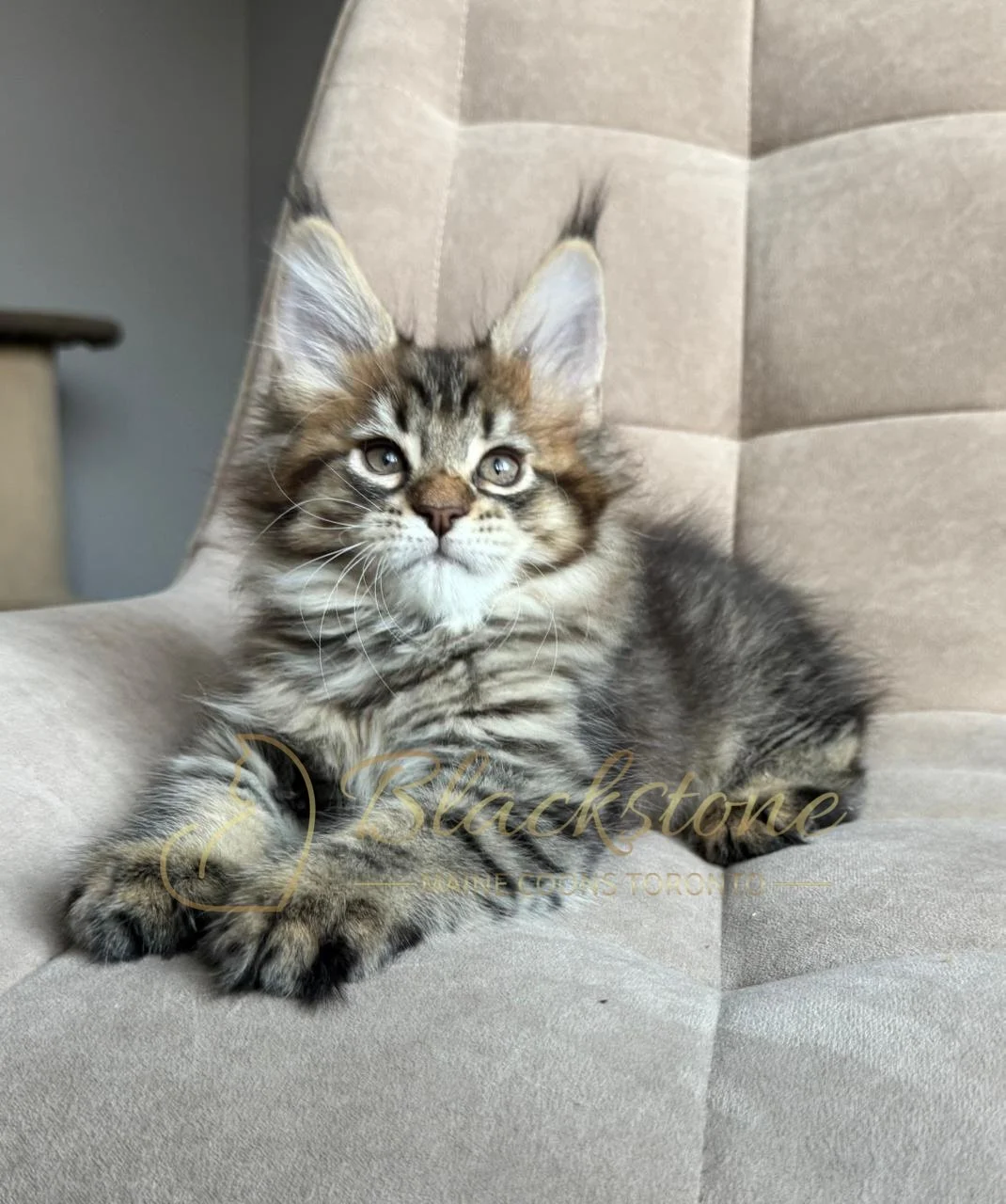 eZy Watermark_07-12-2025_10-08-31-5500PM.JPG