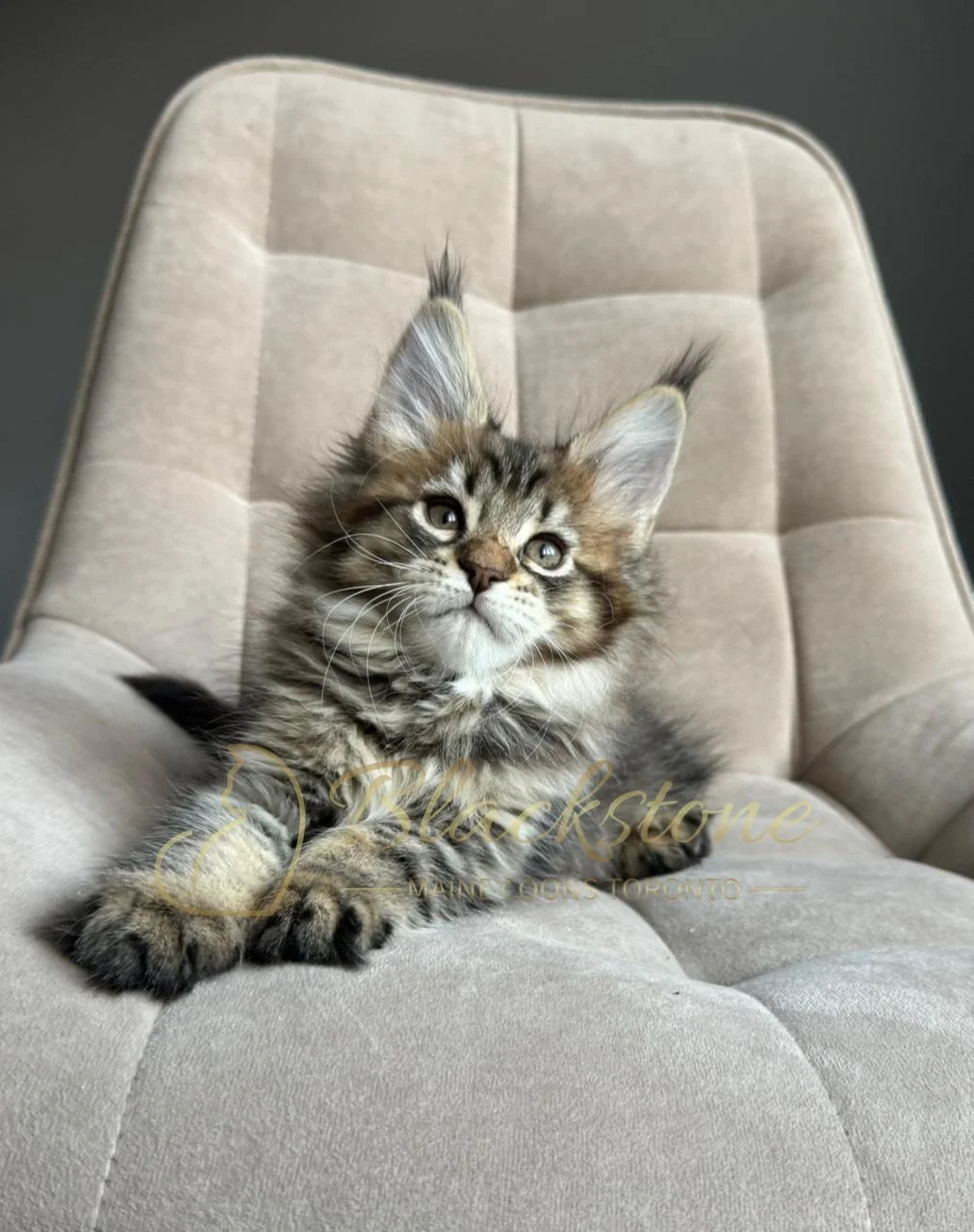 eZy Watermark_07-12-2025_10-08-31-8790PM.JPG