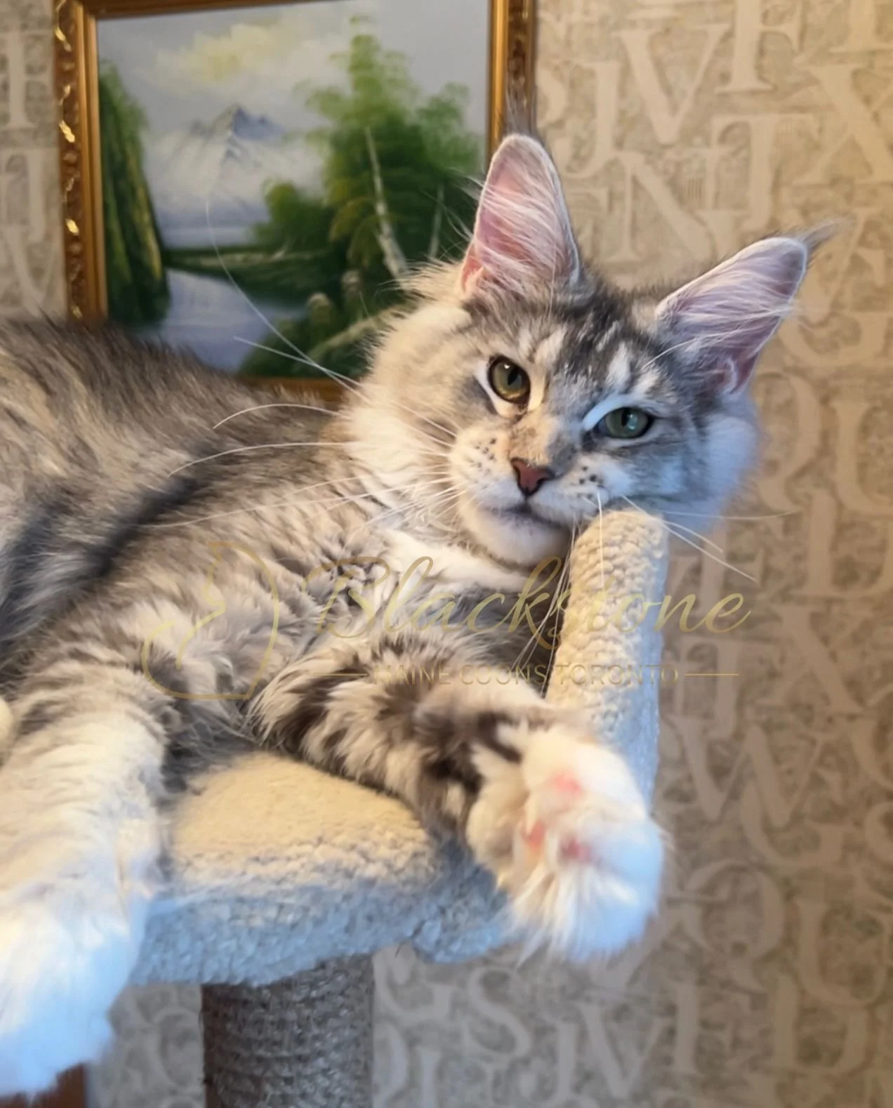 eZy Watermark_08-12-2025_01-58-13-1750PM.JPG