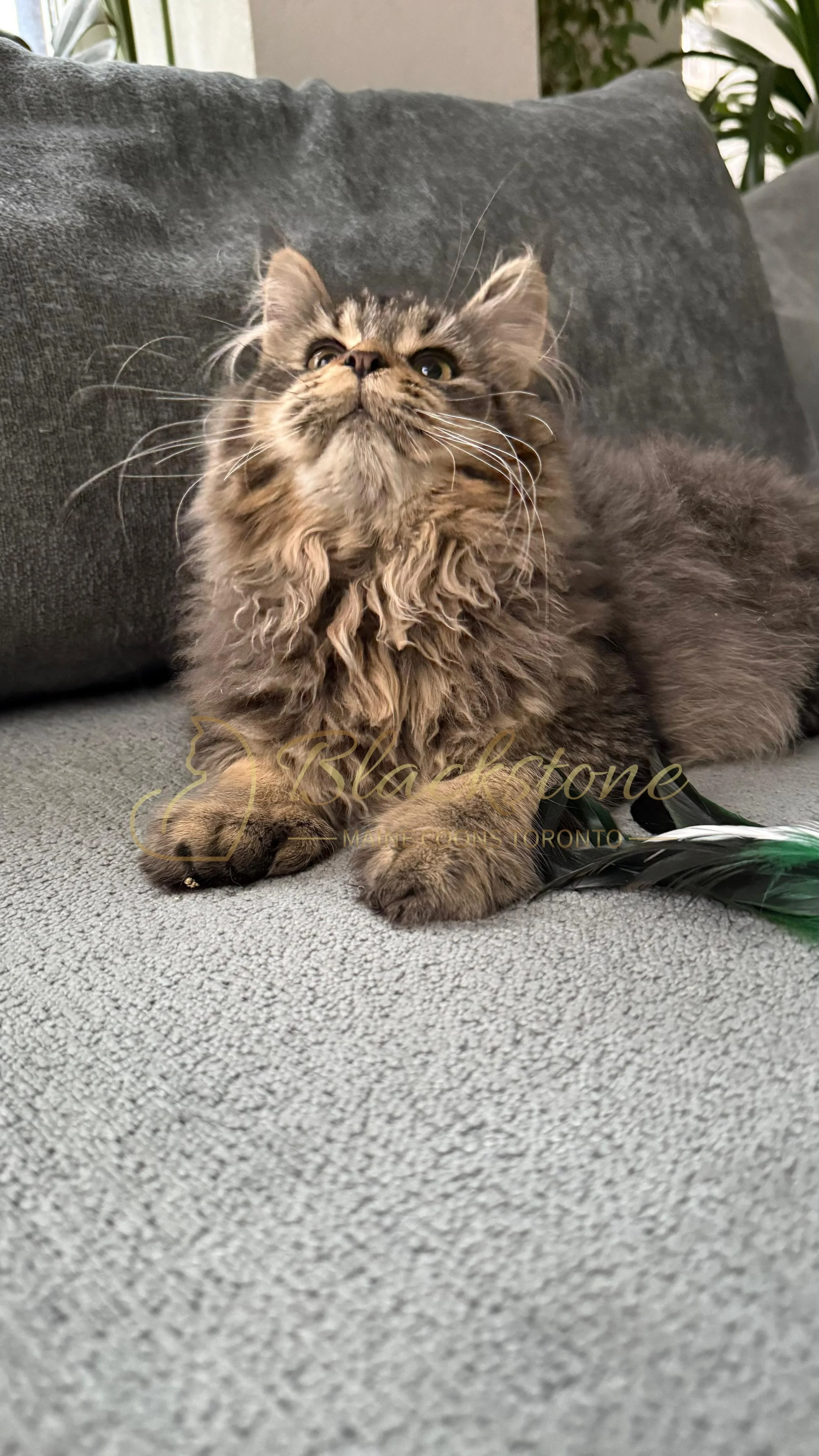 eZy Watermark_08-12-2025_01-58-17-1000PM.JPG