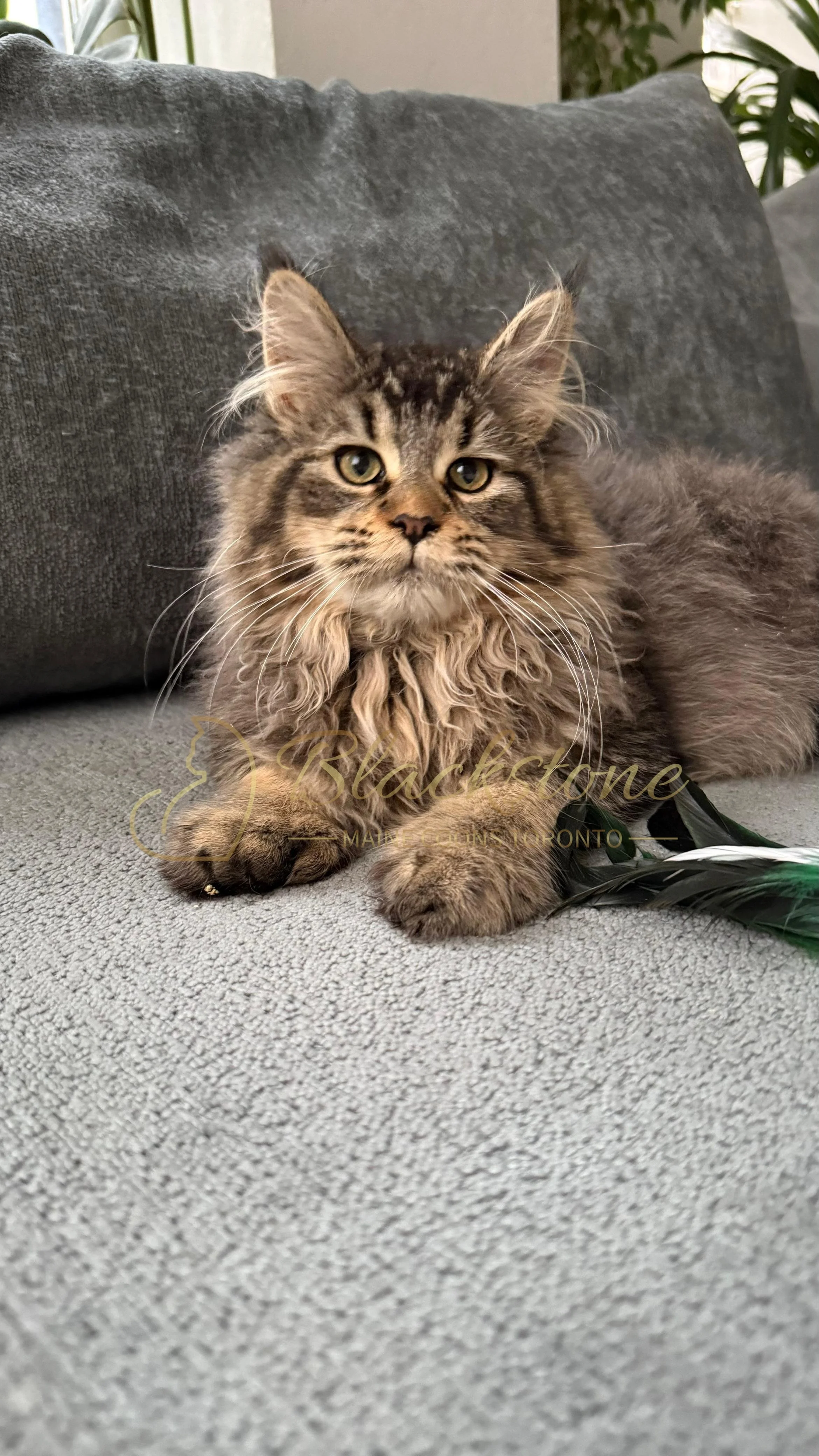 eZy Watermark_08-12-2025_01-58-17-2530PM.JPG