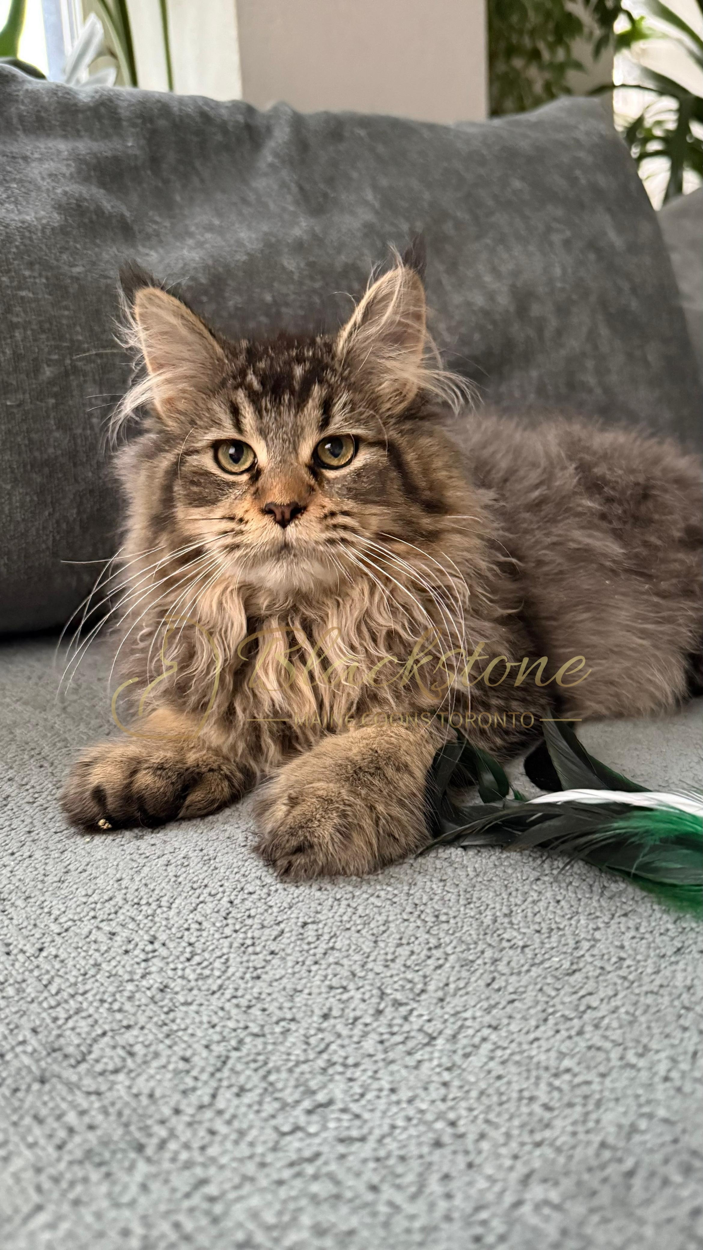 eZy Watermark_08-12-2025_01-58-17-7160PM.JPG