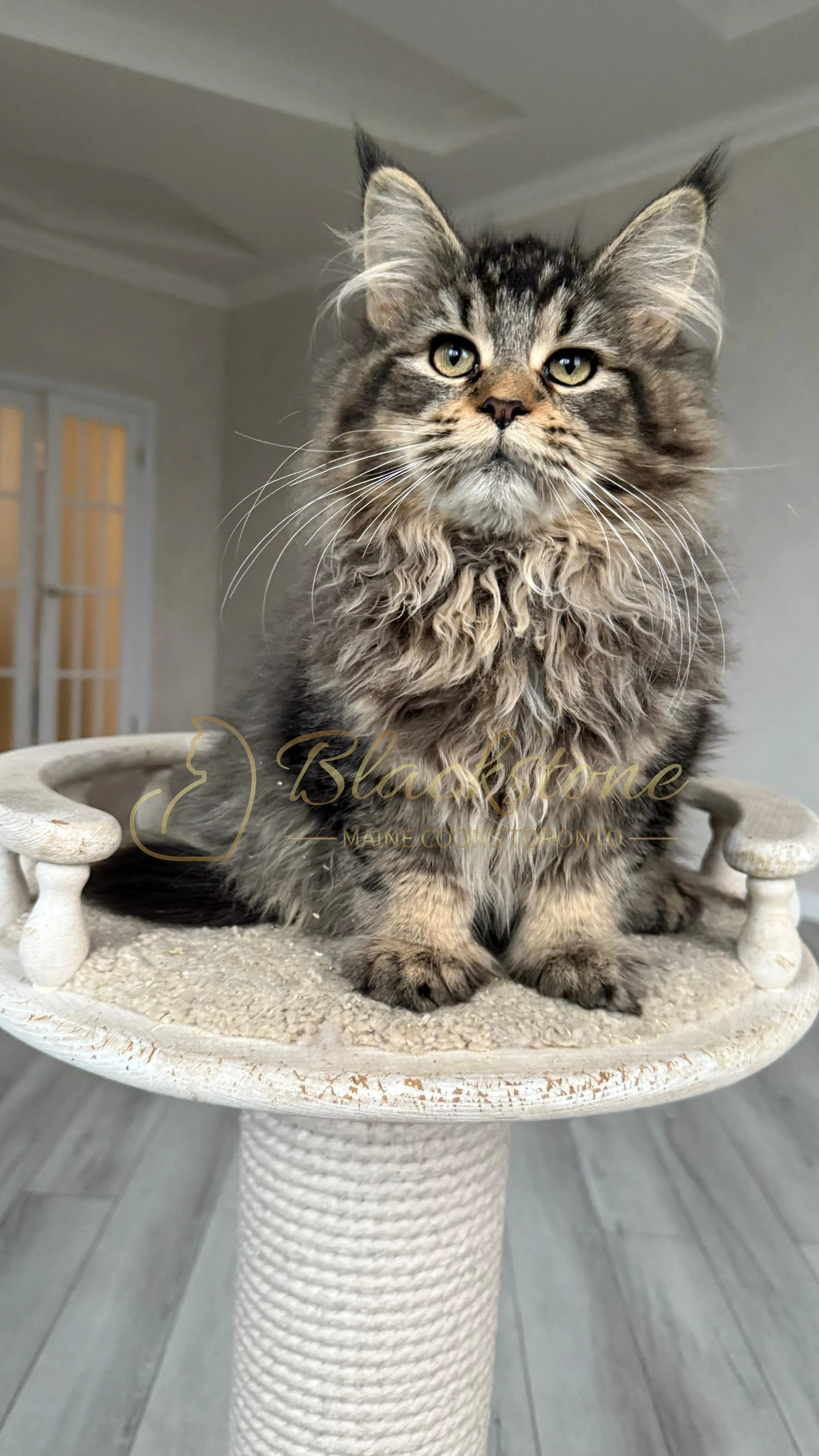 eZy Watermark_08-12-2025_01-58-18-5970PM.JPG