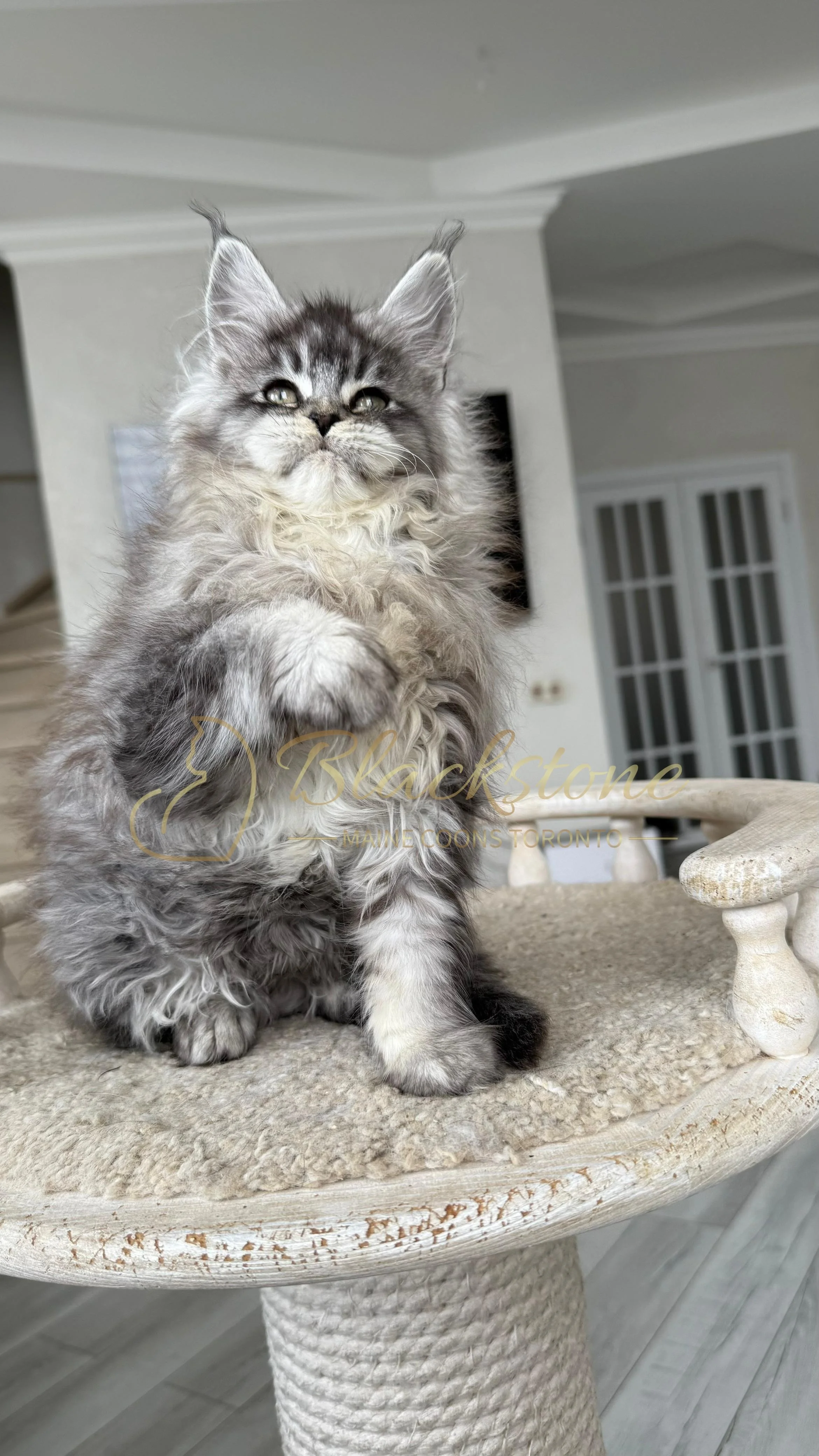 eZy Watermark_14-01-2026_07-45-07-7610PM.JPG