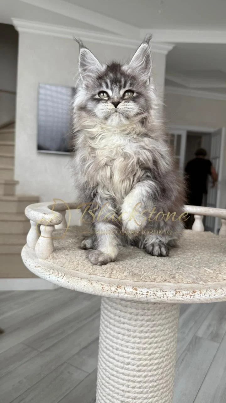 eZy Watermark_14-01-2026_07-45-07-9930PM.JPG