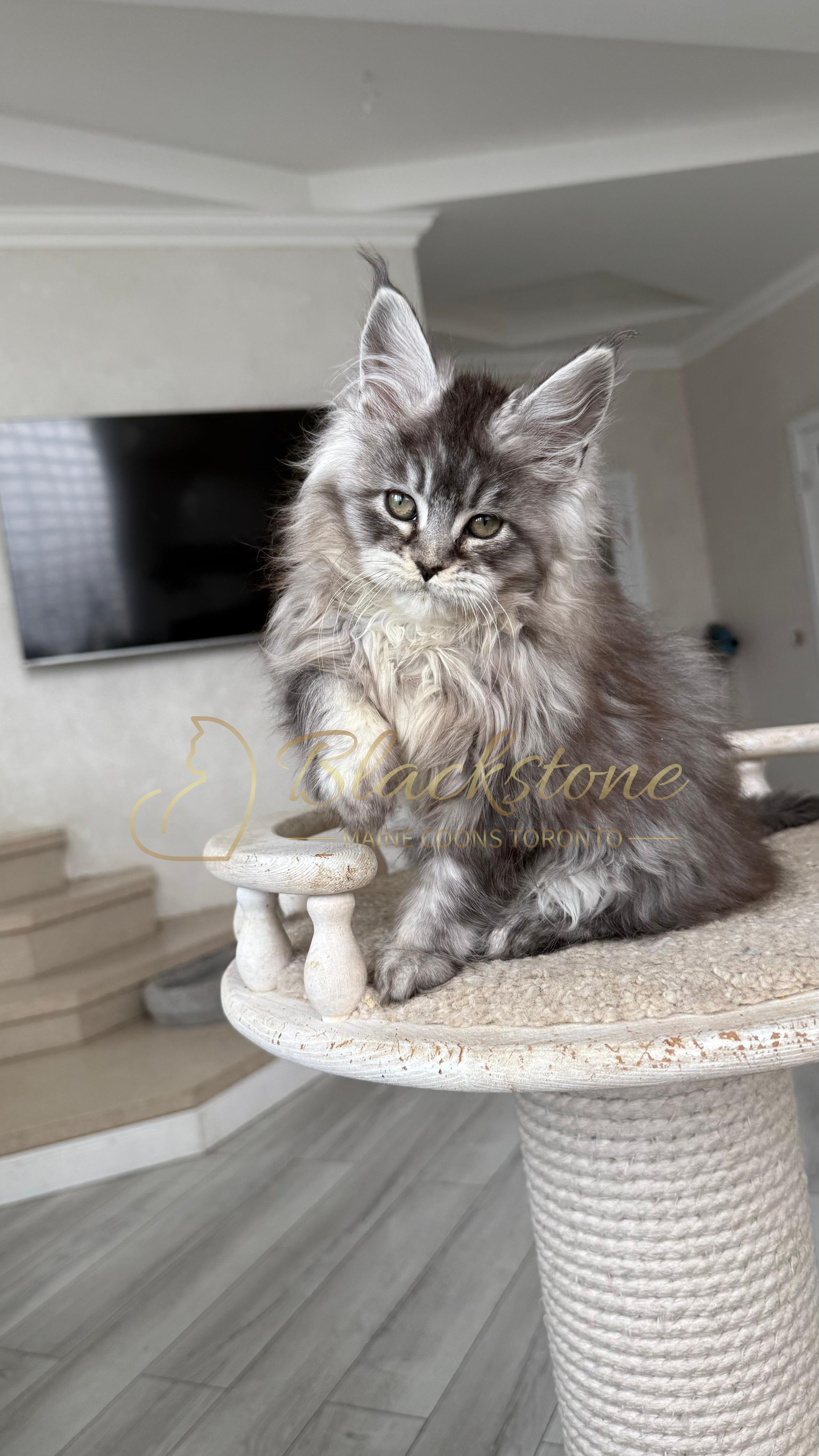 eZy Watermark_14-01-2026_07-45-08-1230PM.JPG