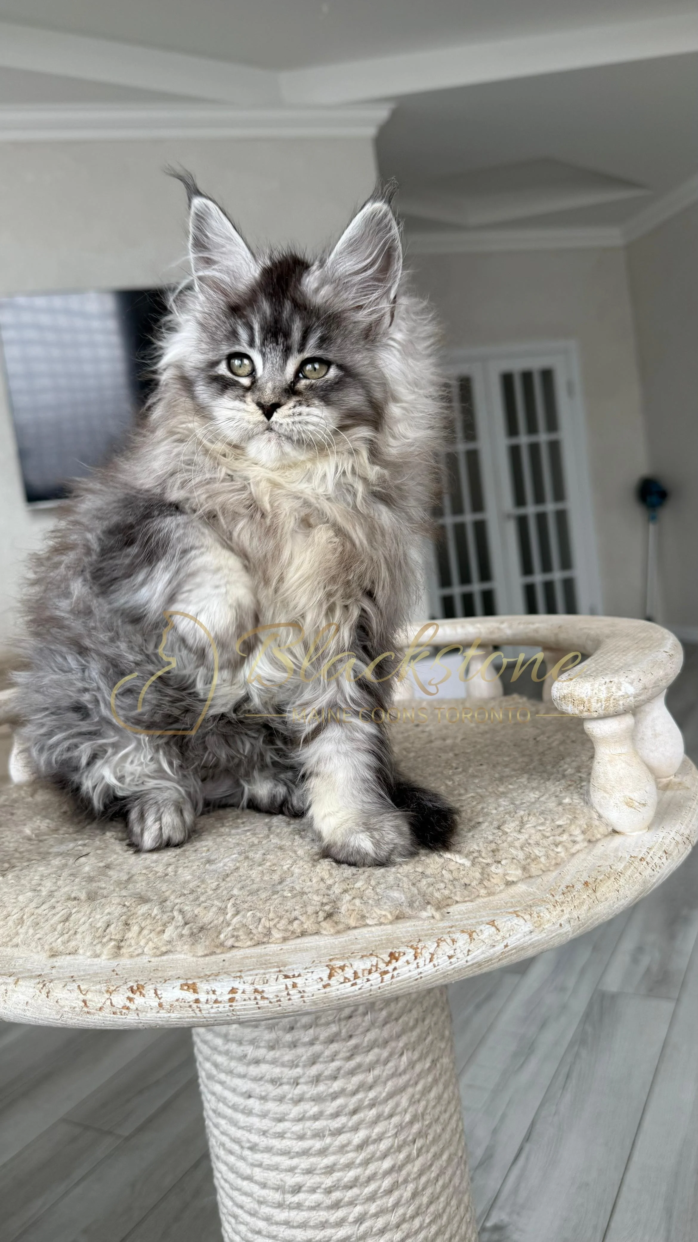 eZy Watermark_14-01-2026_07-45-08-5670PM.JPG