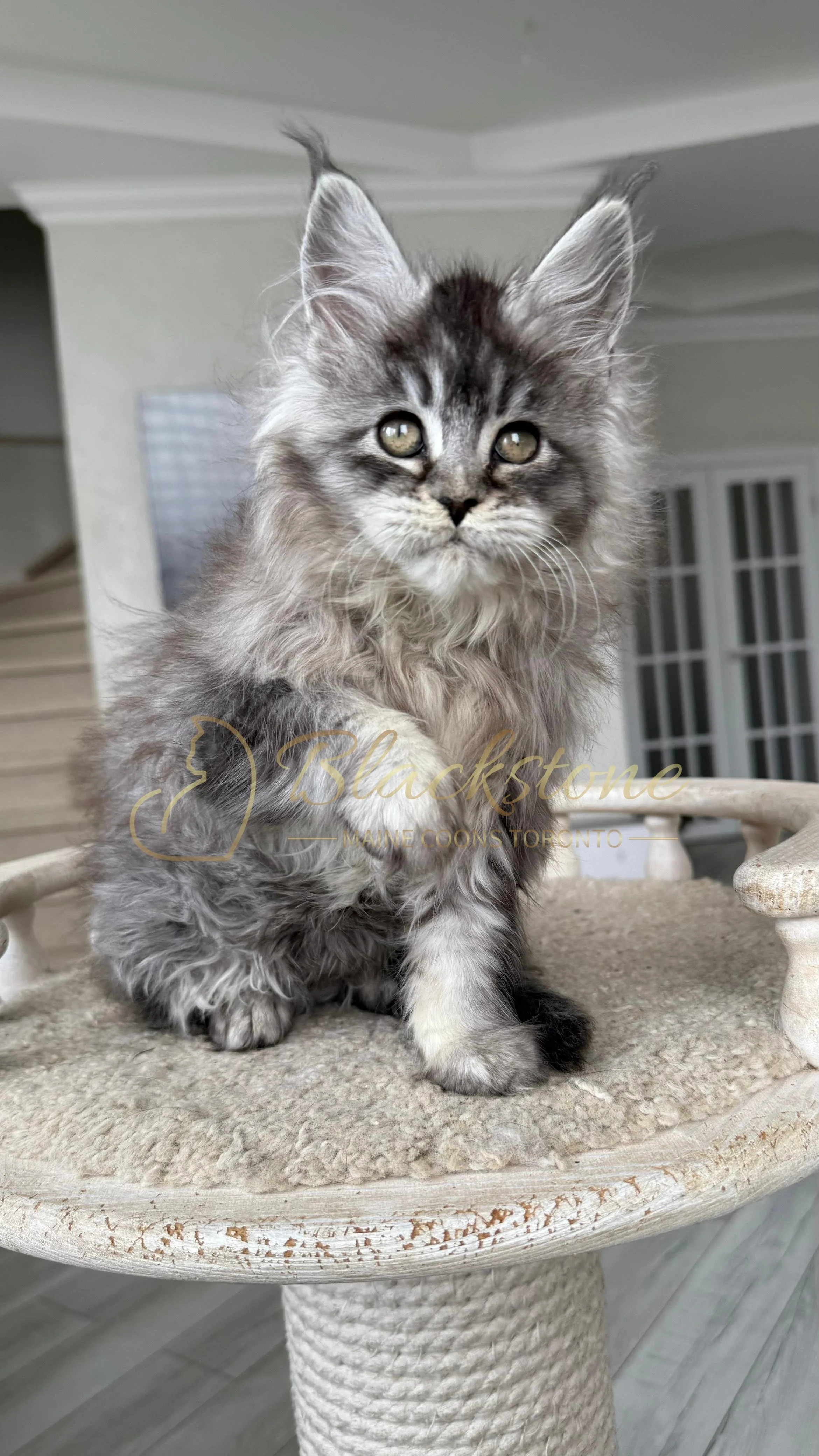 eZy Watermark_14-01-2026_07-45-09-0040PM.JPG