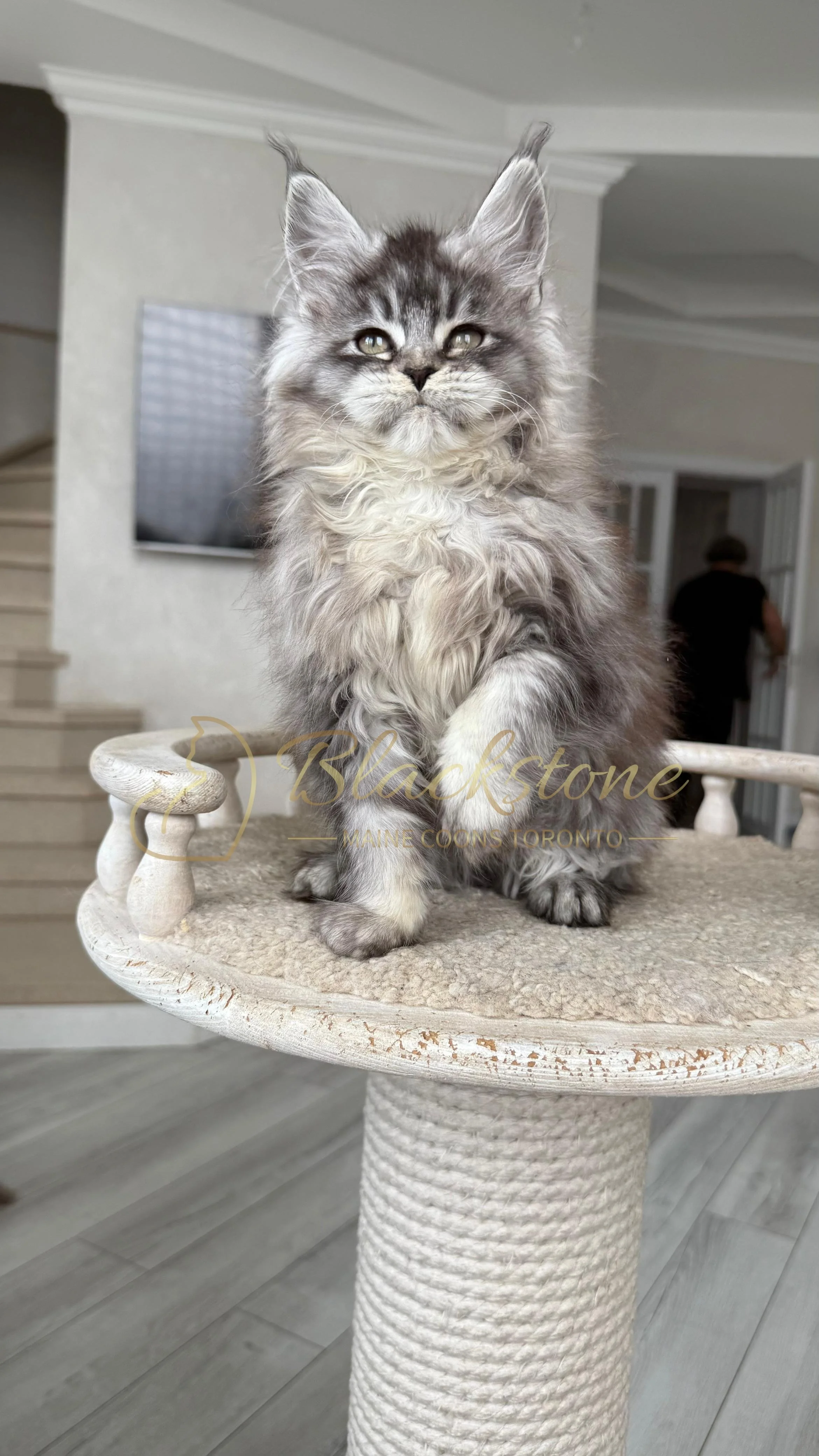 eZy Watermark_14-01-2026_07-45-09-1490PM.JPG